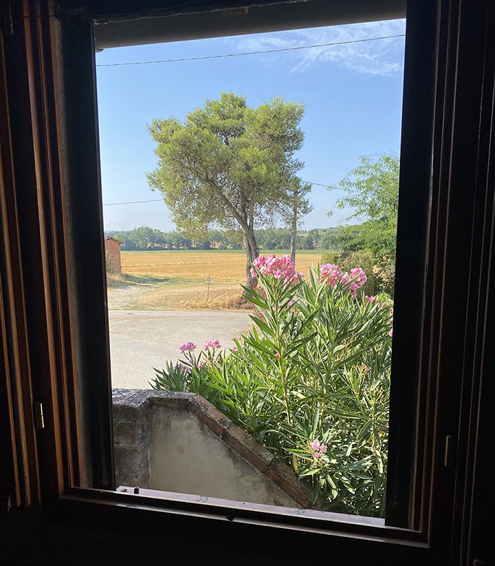 The view from one of the living room windows