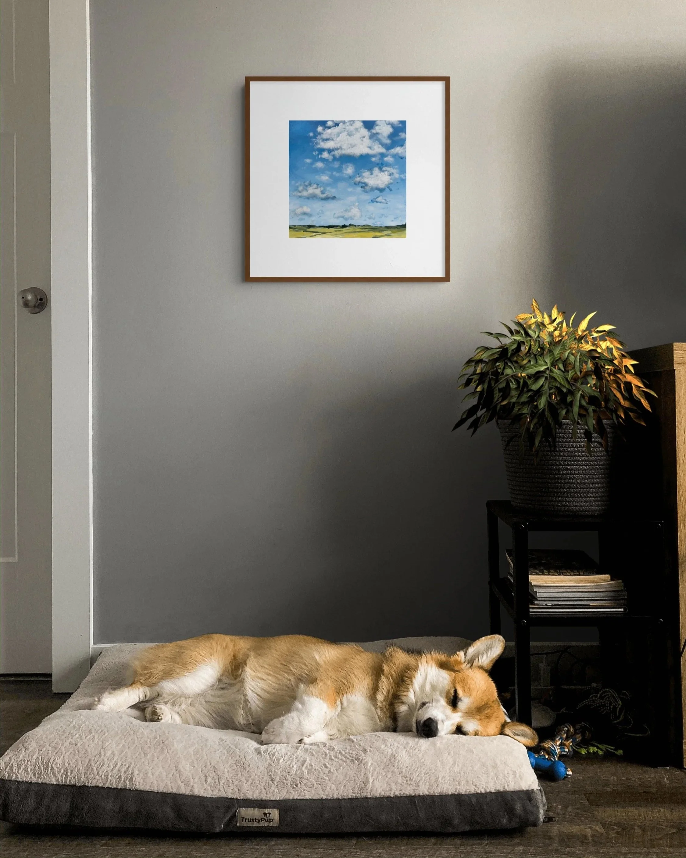 Pembroke Welsh Corgi sleeping on a gray dog bed in a modern living room beside a potted plant and framed landscape artwork