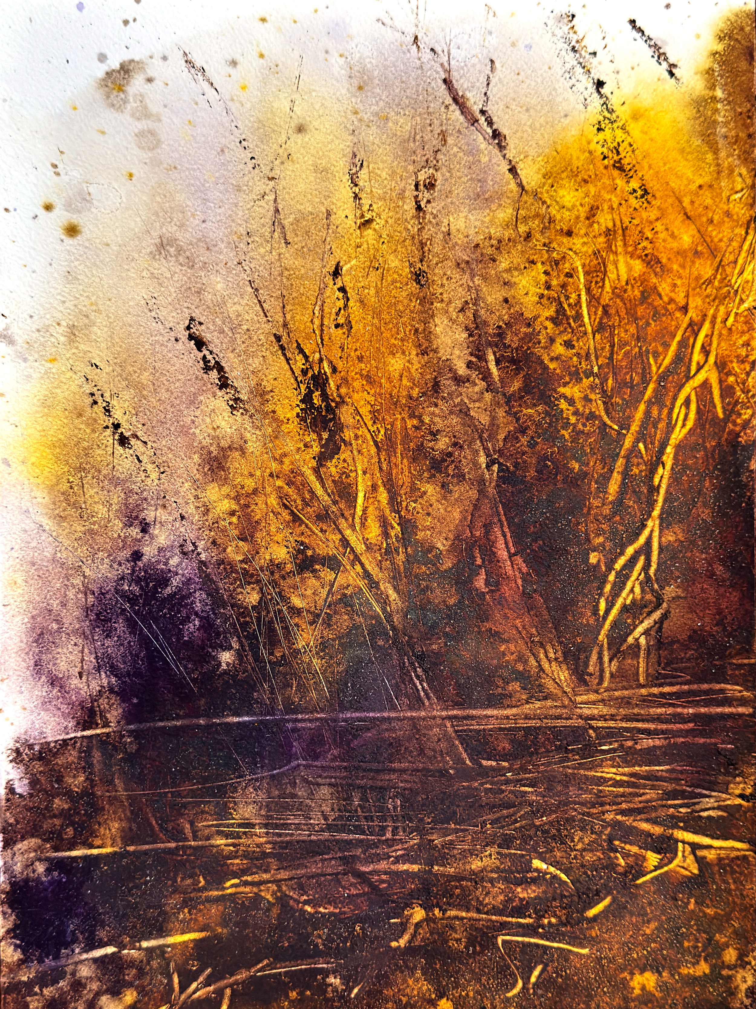 Abstract textured artwork resembling a dark forest floor with tangled roots and branches in warm golden-brown tones.