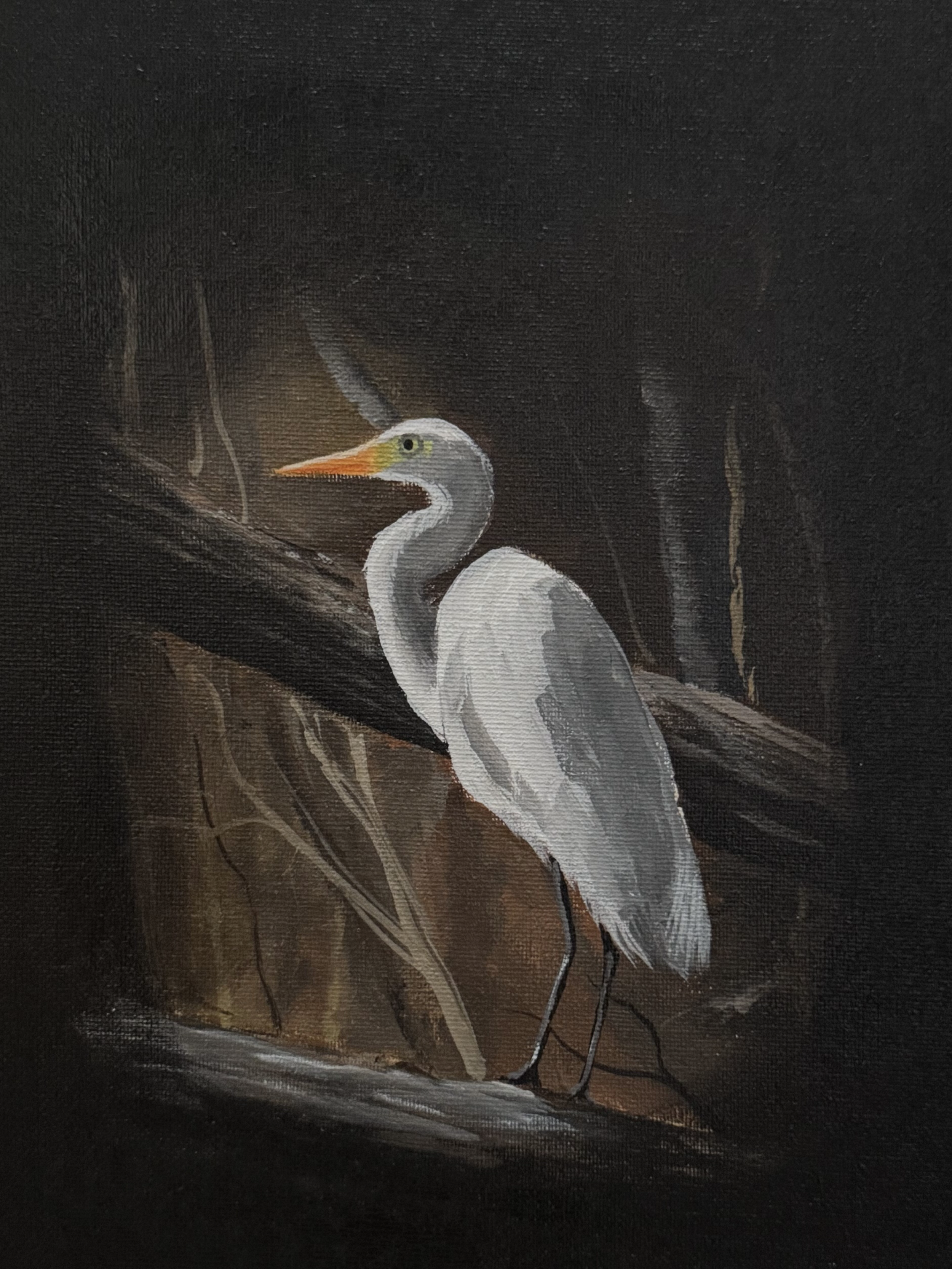 Midnight Egret
2025
Acrylic on Canvas