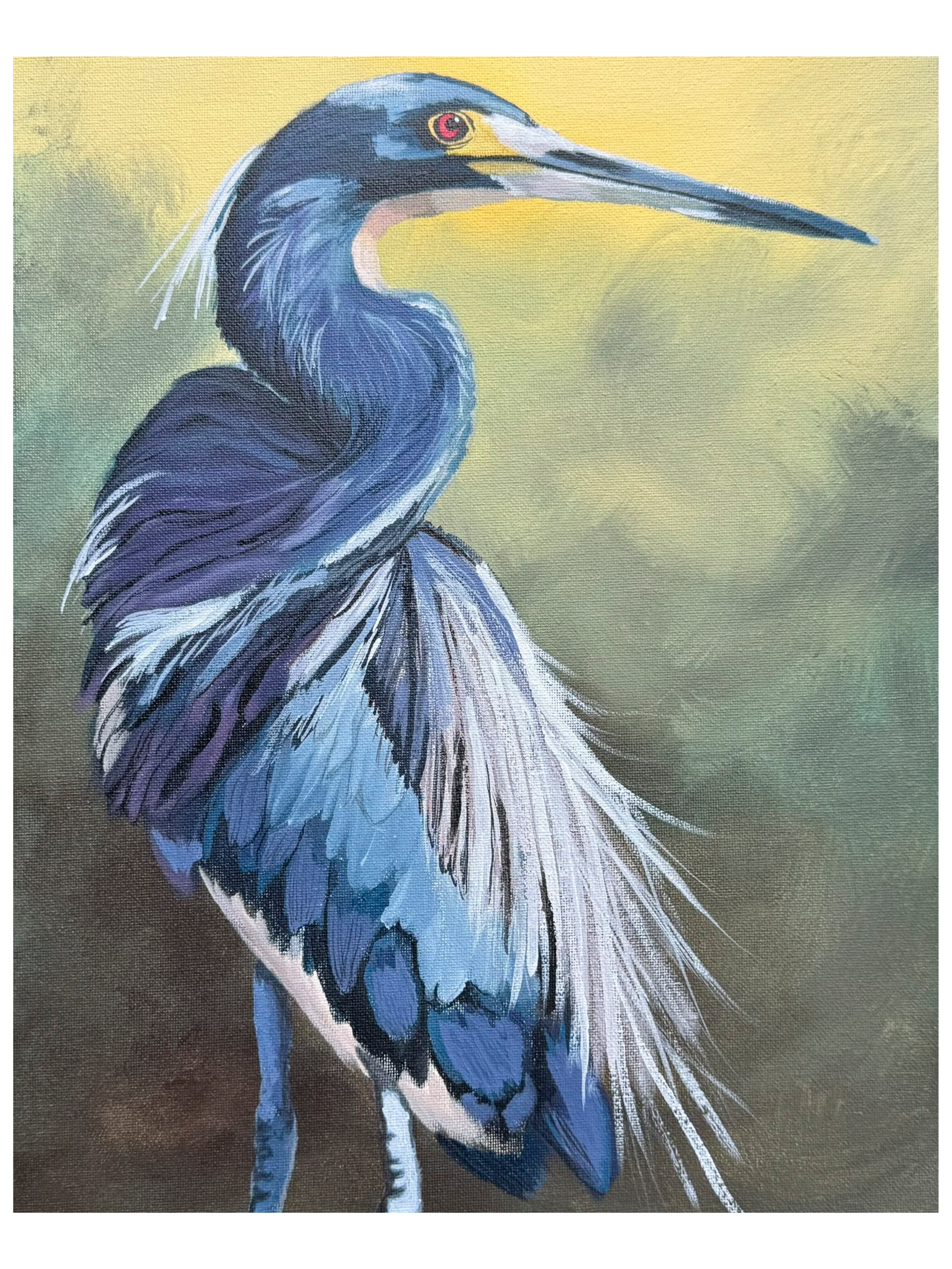 BlueHeron_12x16.png (Copy) (Copy)
