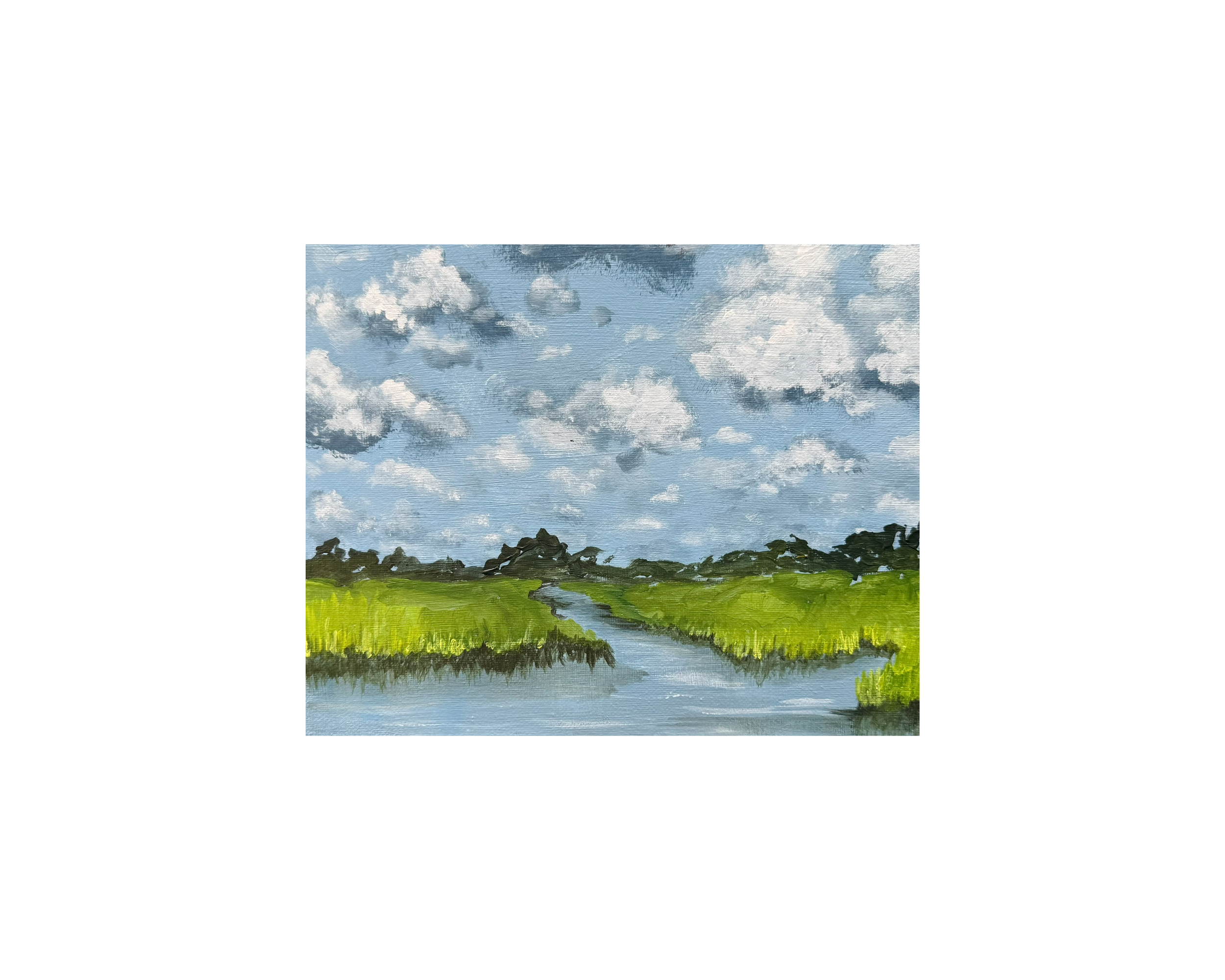 Marsh_16x20.png