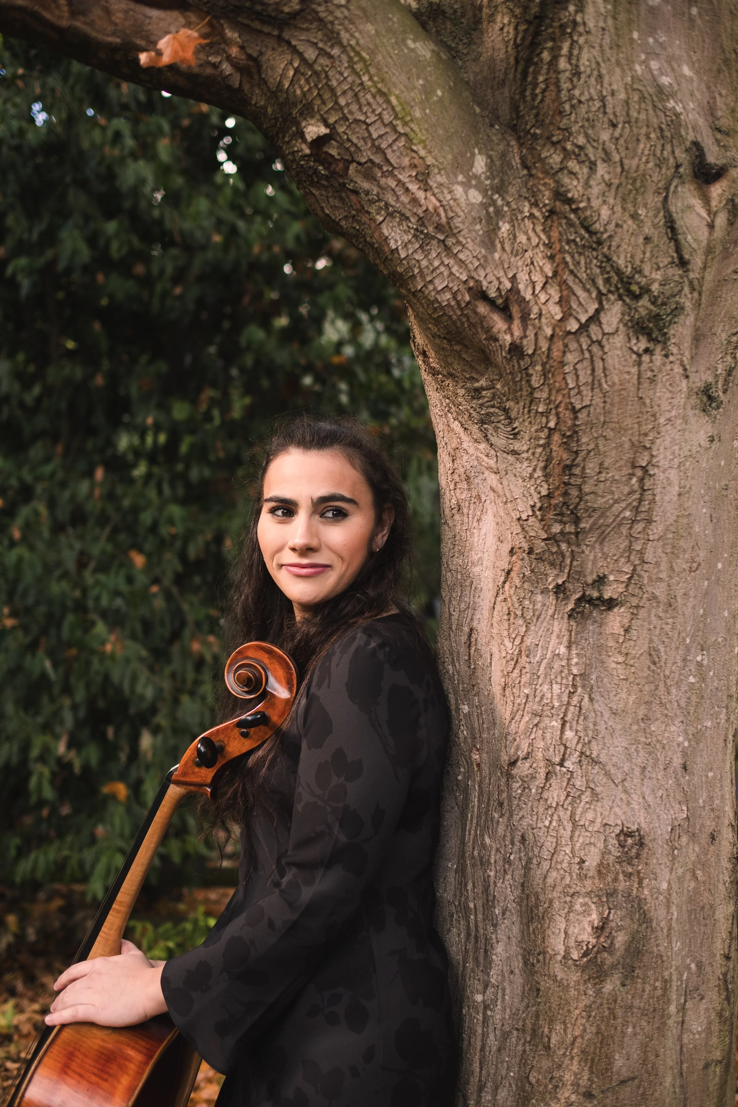 Elgar Cello Concerto: Abbots Langley Orchestra