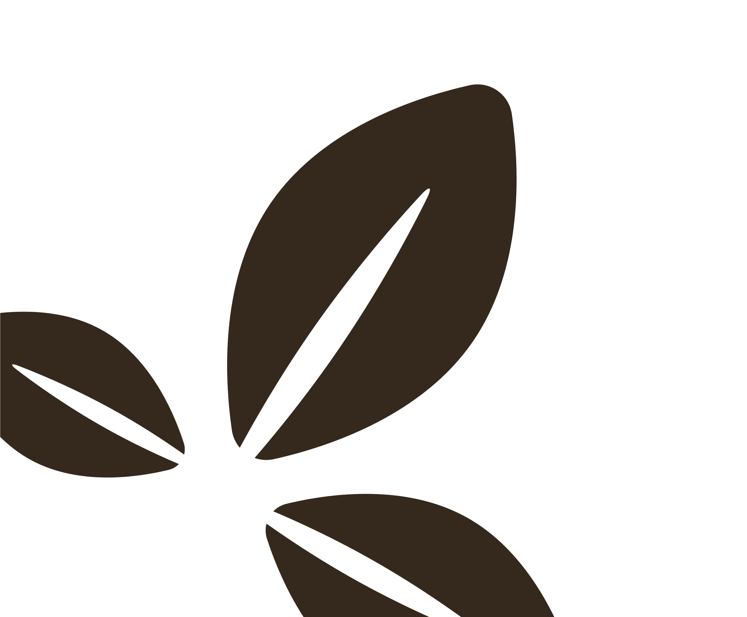 Abstract brown leaf shapes