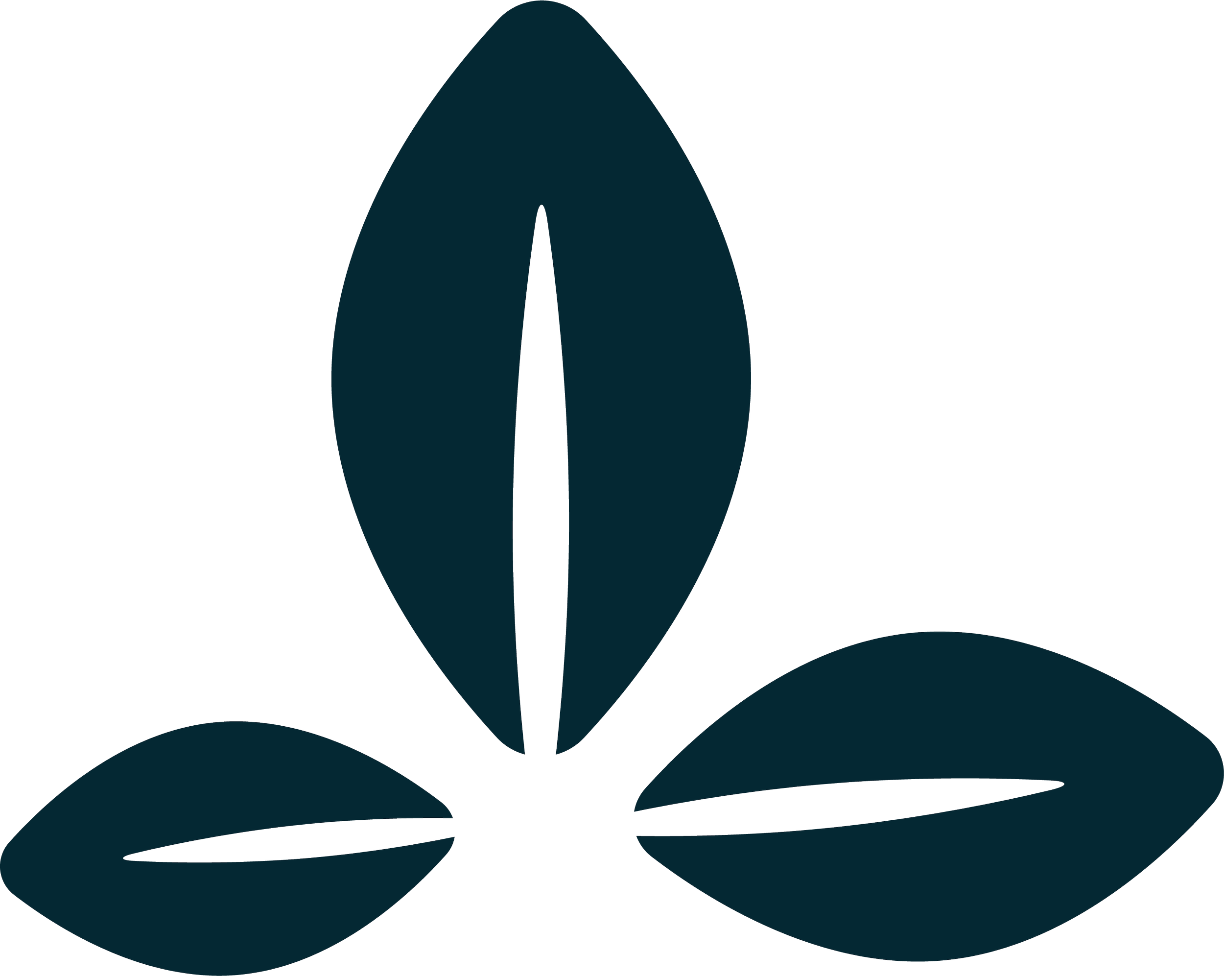 Three dark teal stylized leaves arranged as a simple botanical logo