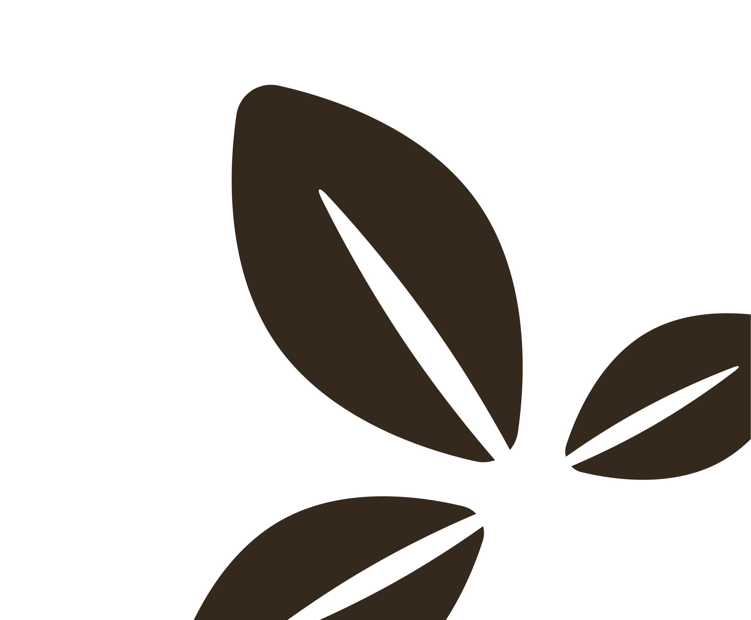 Abstract brown leaf shapes