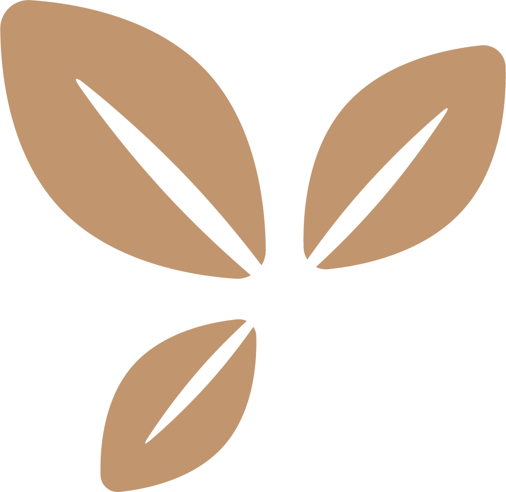 Three stylized tan leaves arranged together