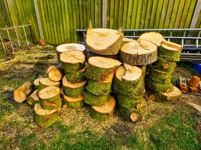 Stacked cut logs in an outdoor yard near a green wooden fence.