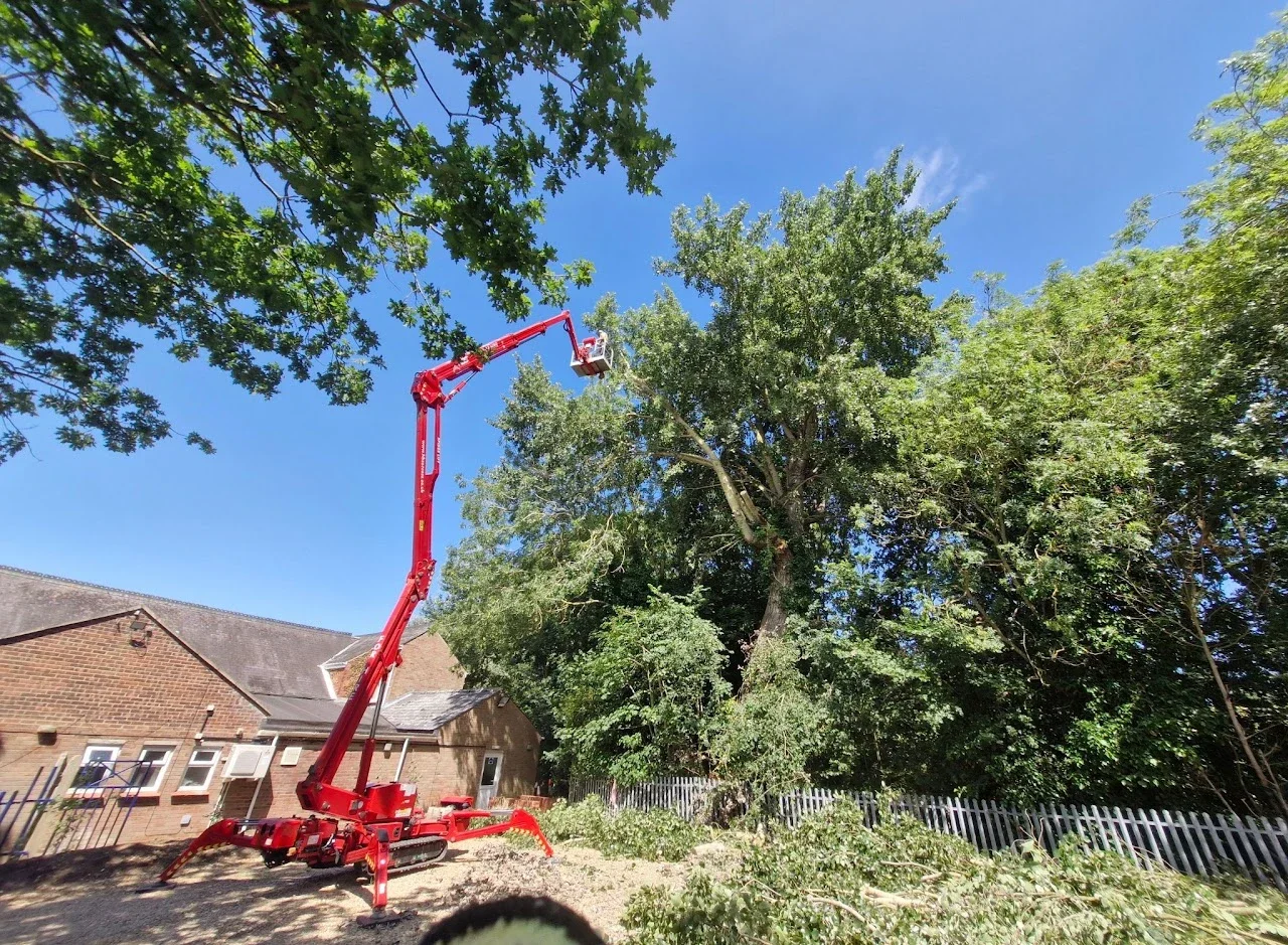 Tree surgeon emergency response in North & West Norfolk