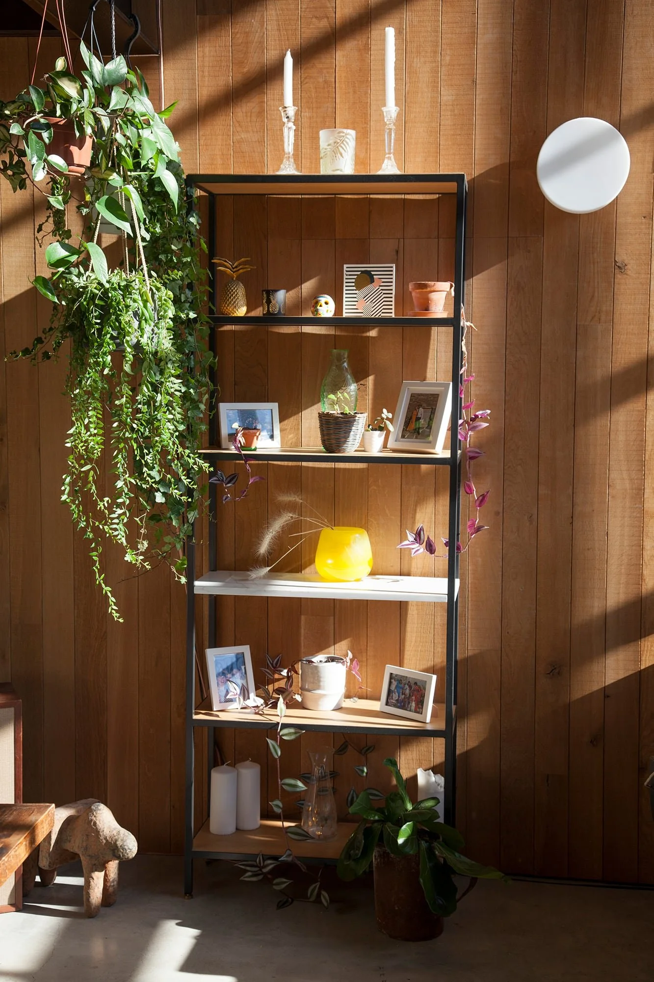 Spruce-Steel-Shelves-MGC-05.jpg