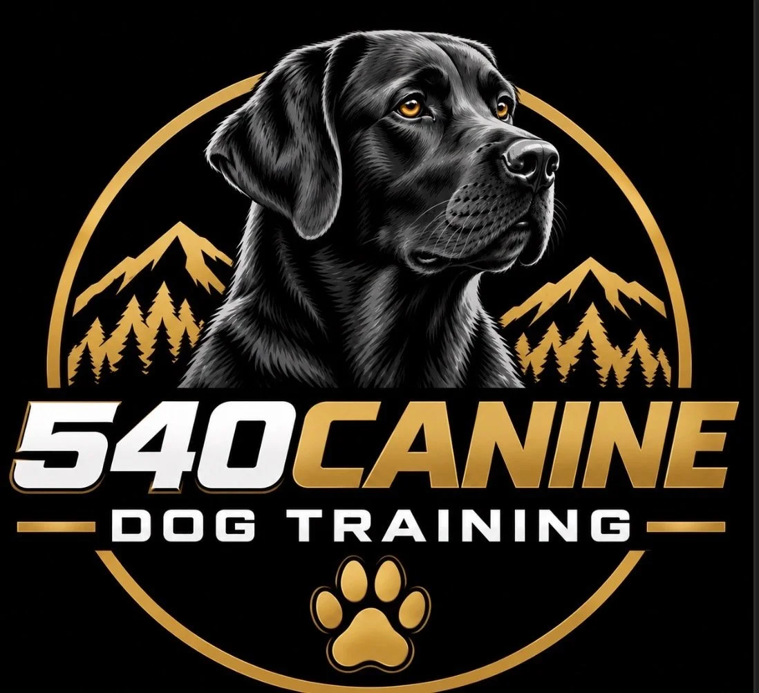 540 Canine