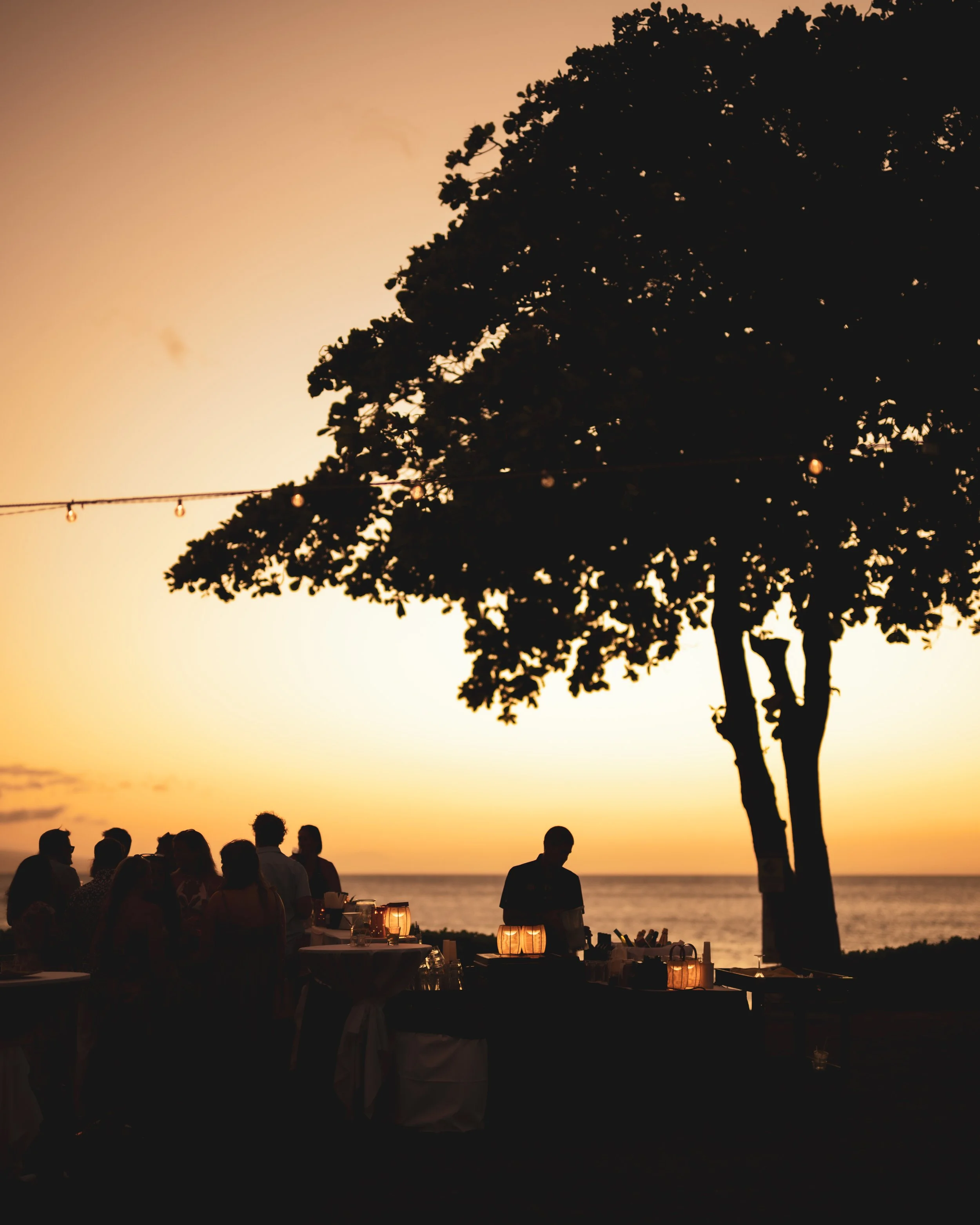 Wedding guests silhouetted beneath a large tree and string lights, overlooking the ocean at sunset on Maui.