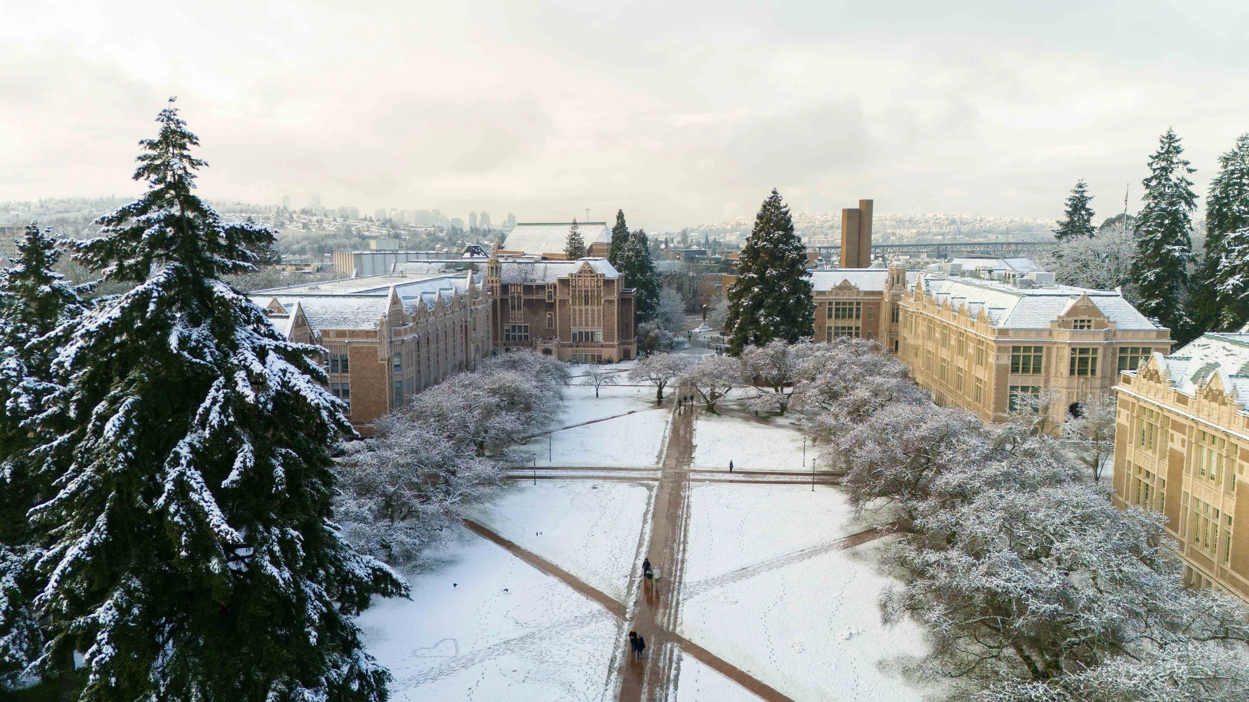 Winter wonderland