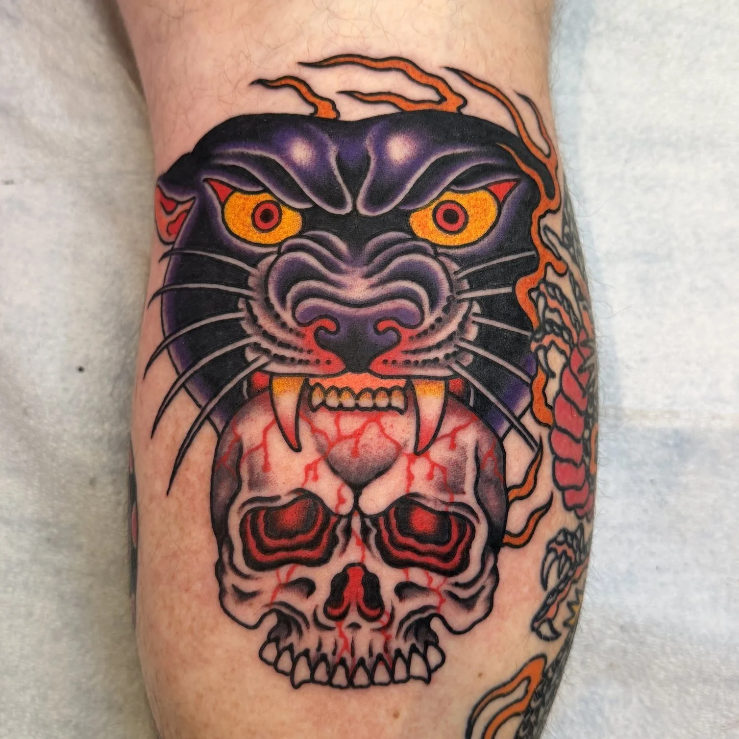 Nick Freidline
Traditional panther and skull