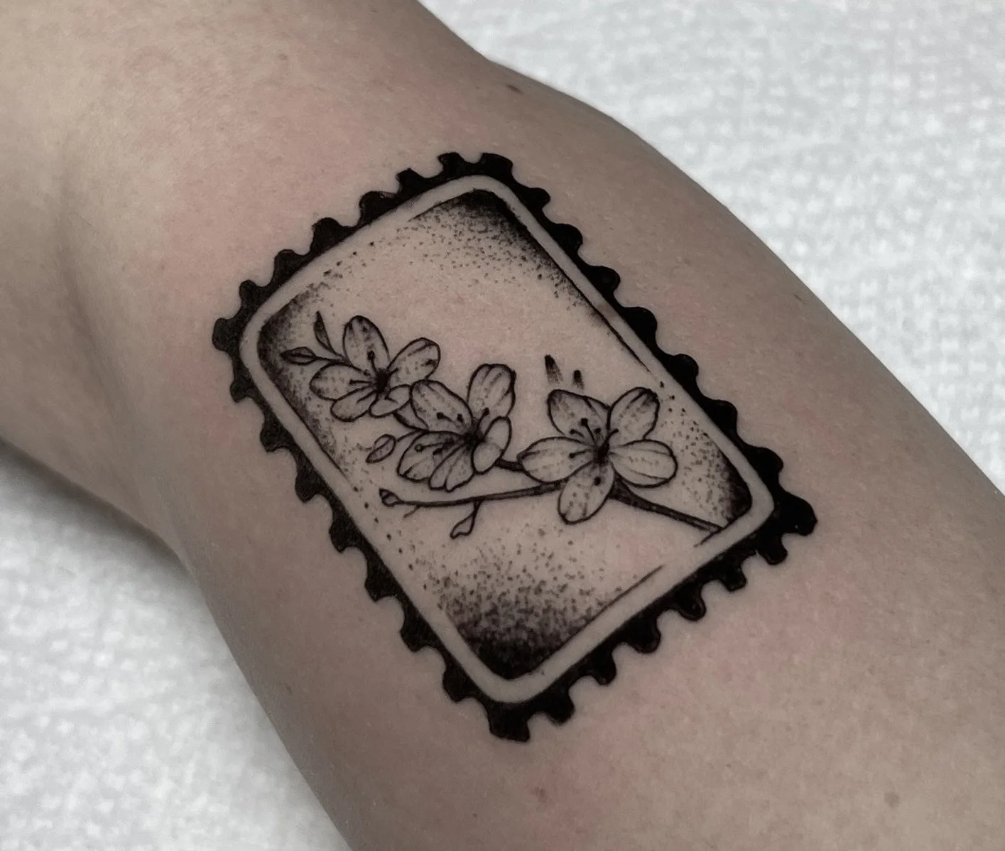 Billy Bennett
Fine line cherry blossom stamp