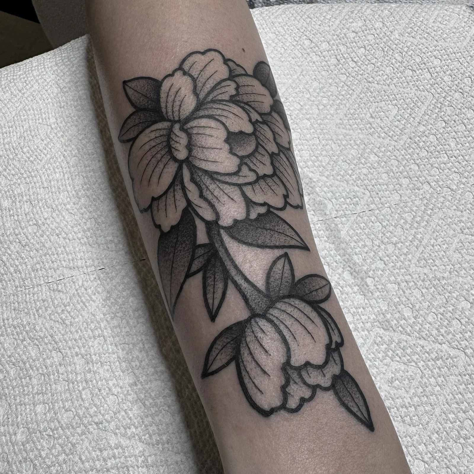 Drew Morgan
Black and grey peony