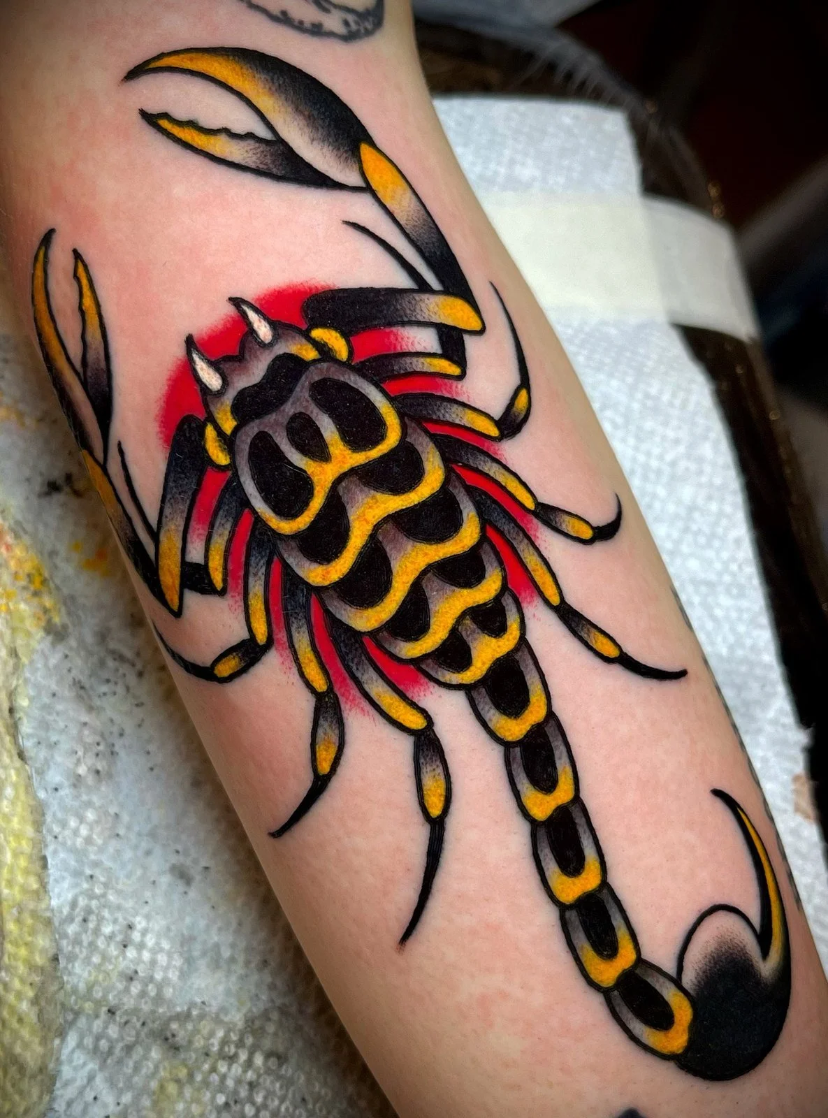Ryan Clarke
Traditional scorpion
