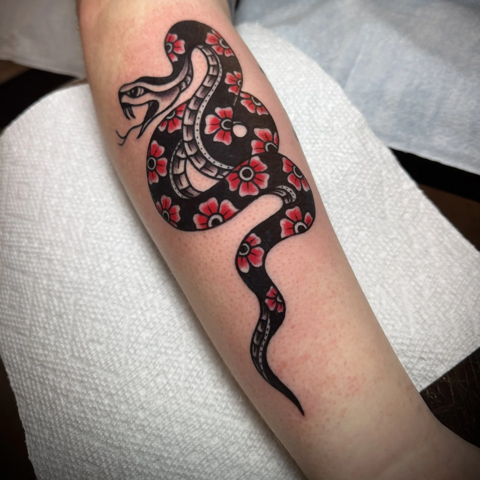 Billy Bennett
Traditional snake