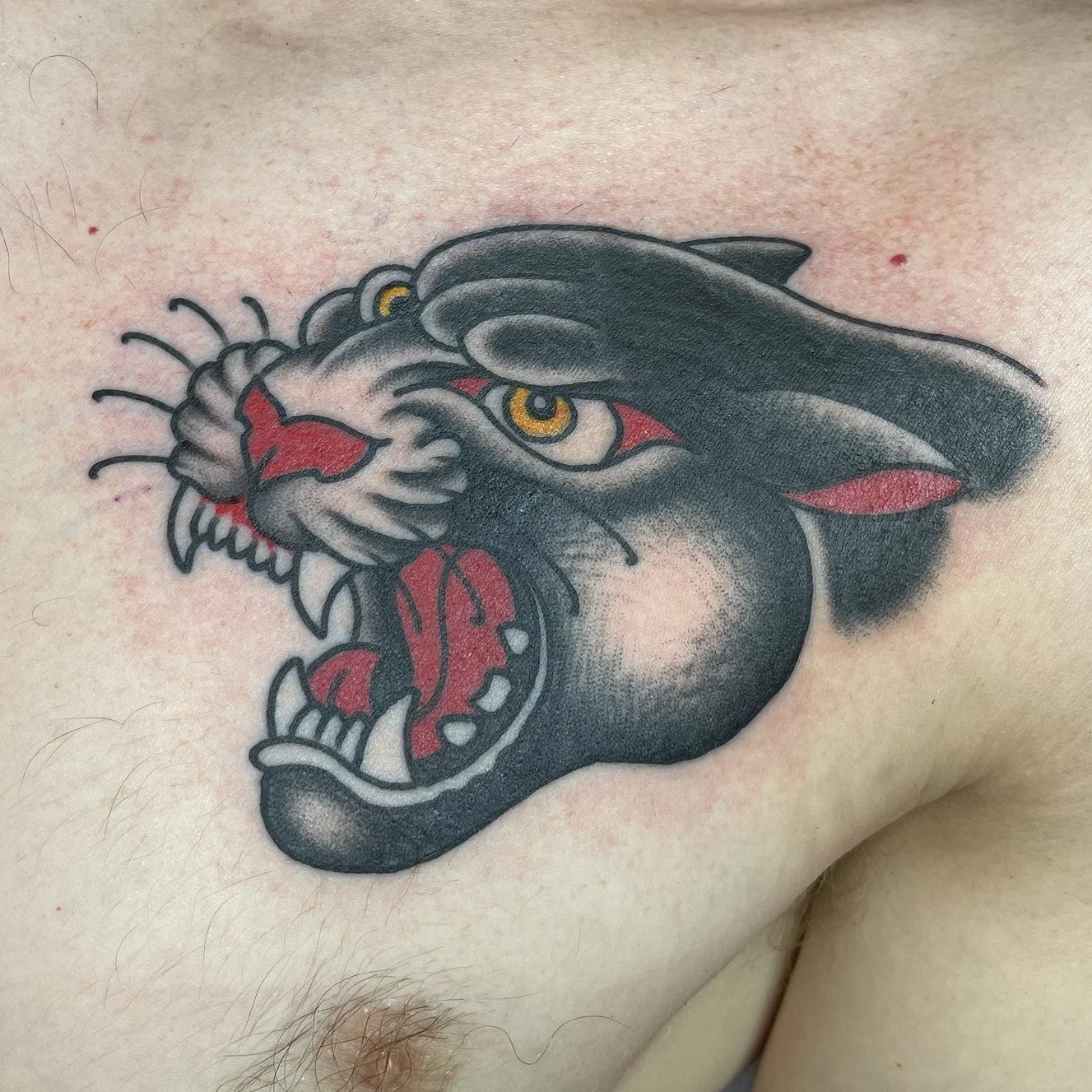 Tim Huck
Traditional panther head