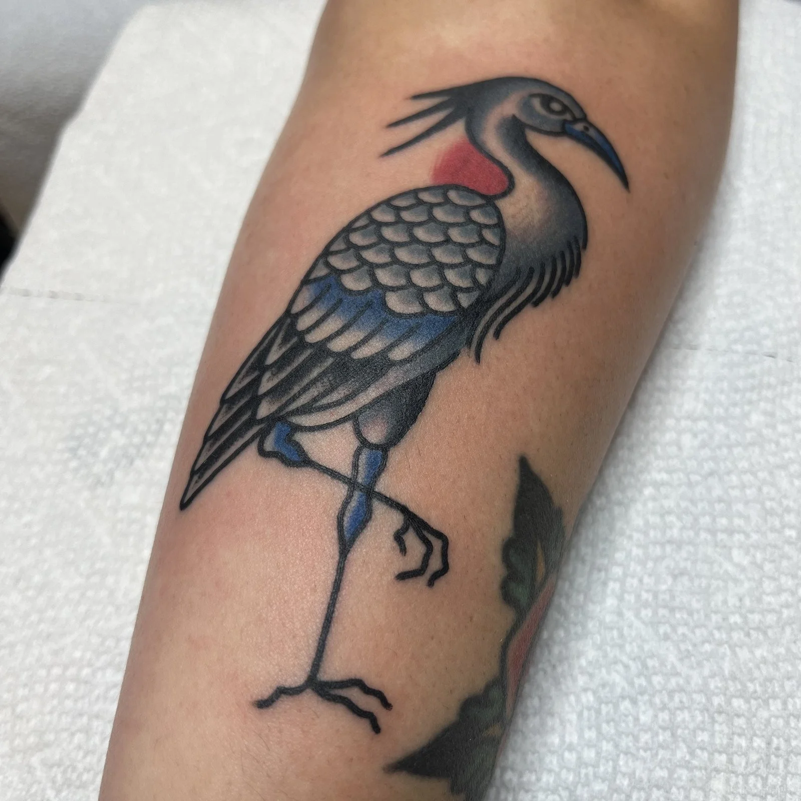 Drew Morgan
Traditional heron