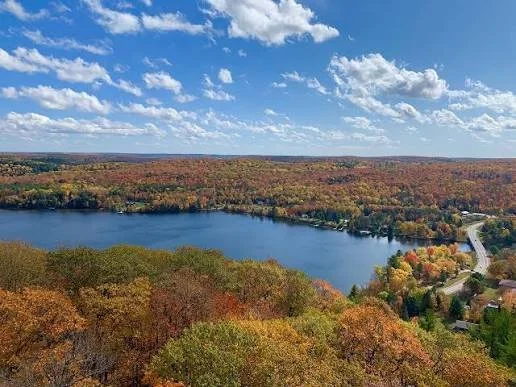 Aerial view of a lake surrounded by colourful autumn forests, waterfront properties and a rural road in Haliburton County, Ontario.
