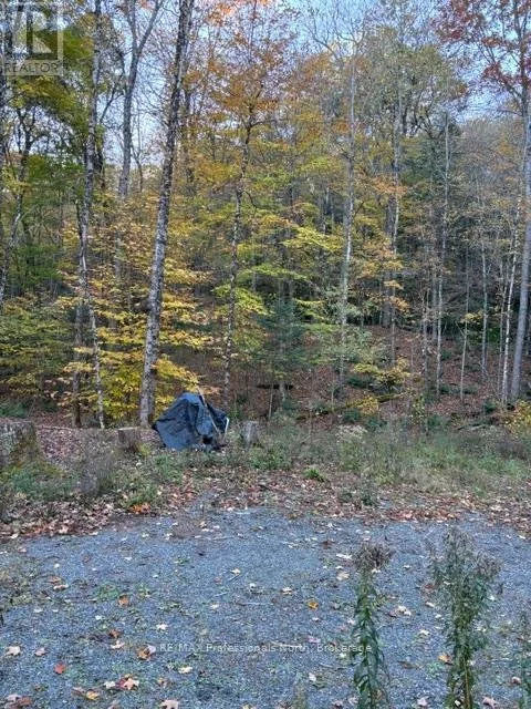 x13853378_18.jpg