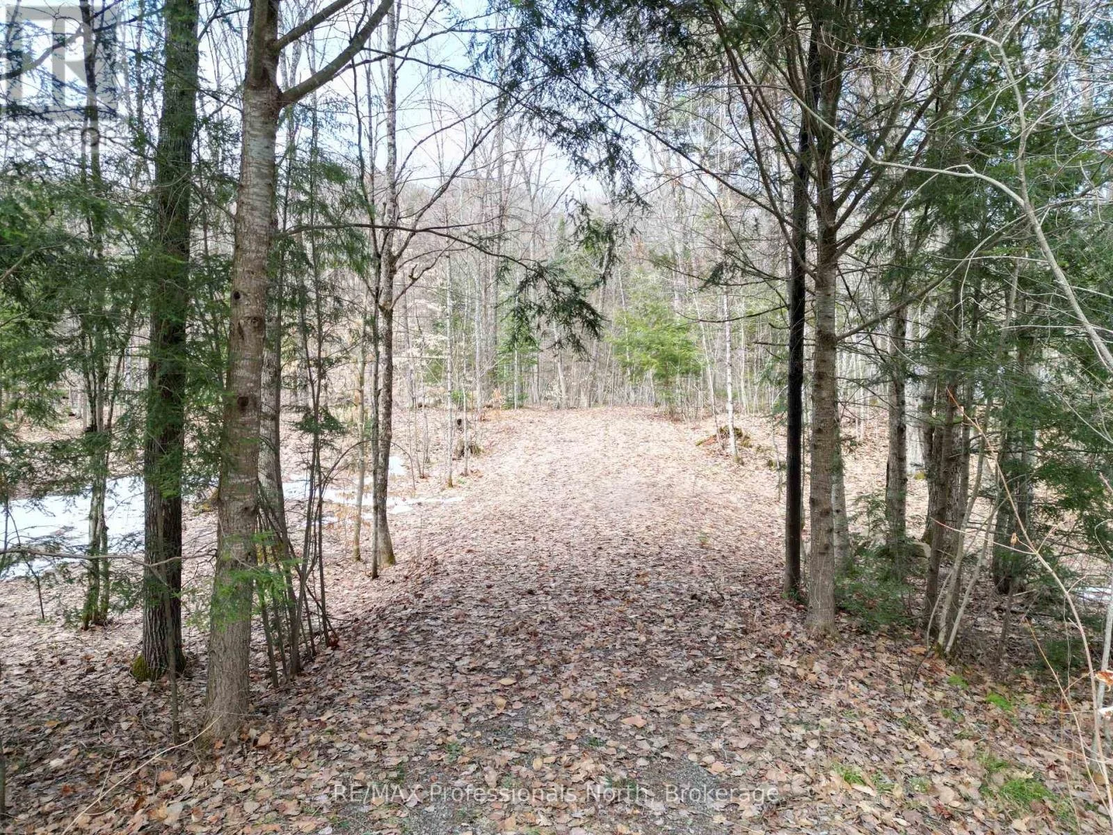1231 Big Hawk Lake Road, Algonquin Highlands | $139,000