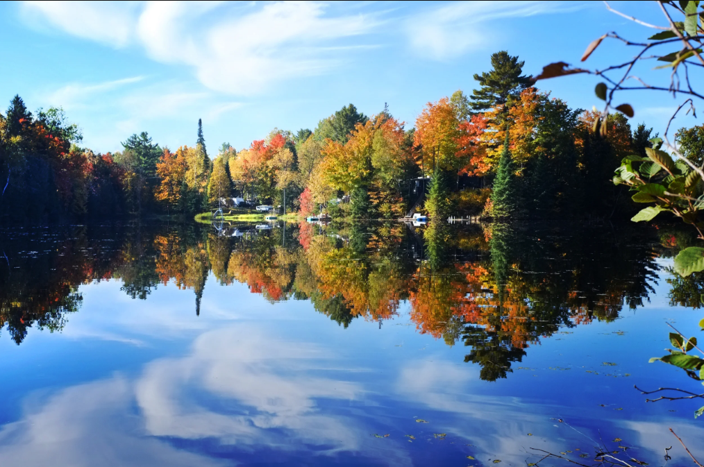 Peaceful lake surrounded by vibrant autumn foliage in Ontario's Haliburton Highlands, with colourful reflections on the water.