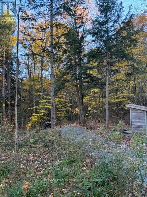x13853378_20.jpg
