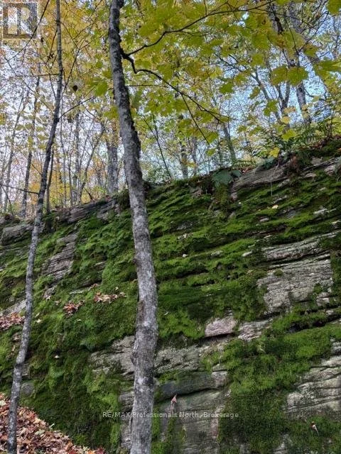 x13853378_24.jpg