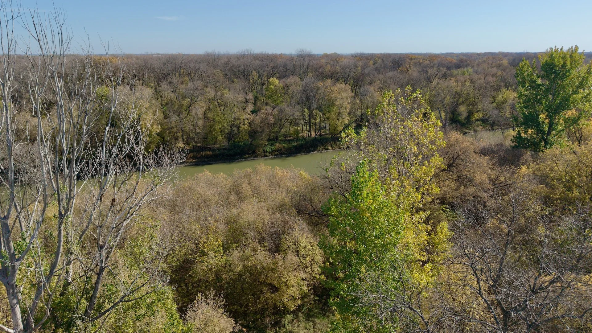 DJI1.jpg