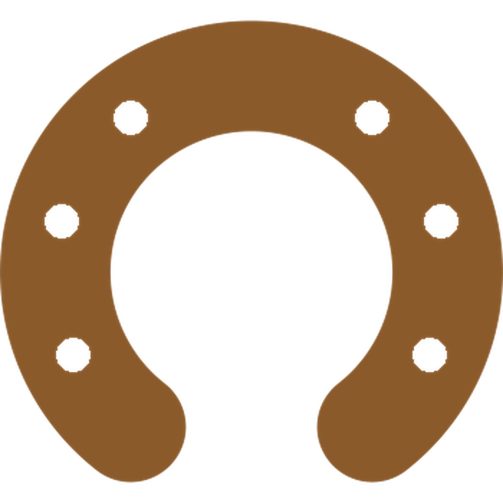 A brown horseshoe with six nail holes on a white background.