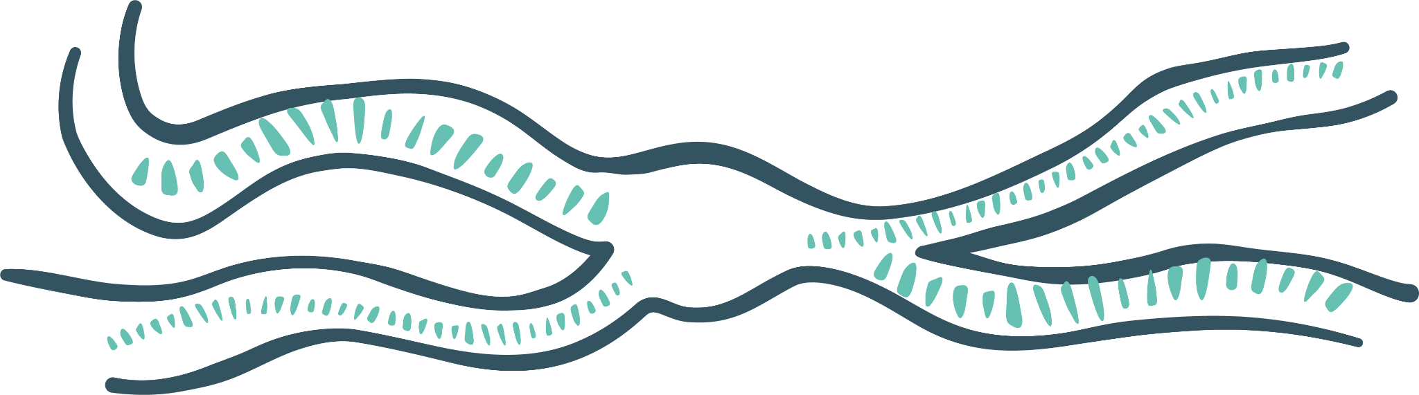 Stylized illustration of a fish swimming in flowing water, with a pattern of dashed lines on its body
