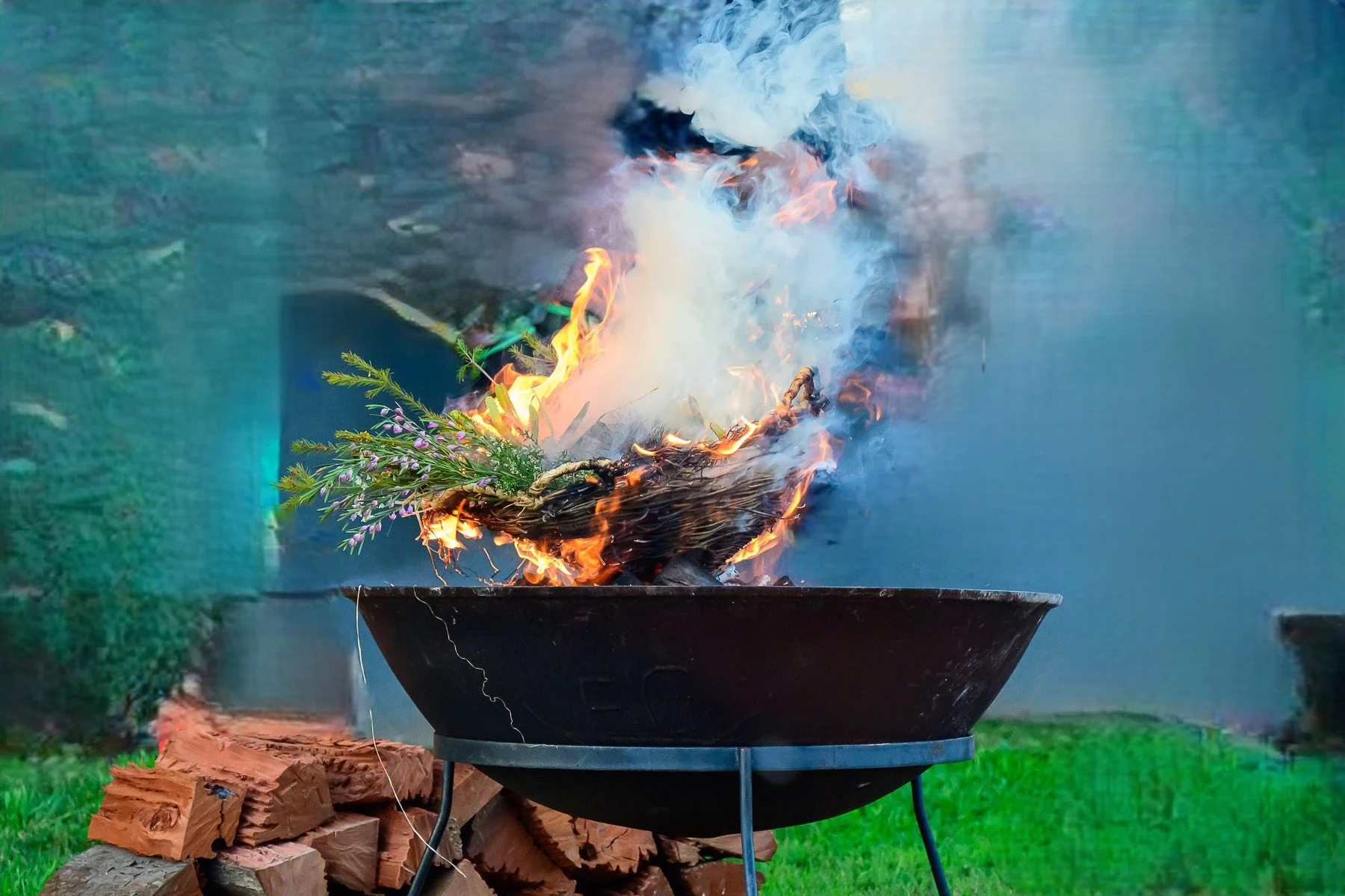 A fire burning in a metal fire pit outdoors, with flames and smoke rising, surrounded by a cutting of wood and greenery.