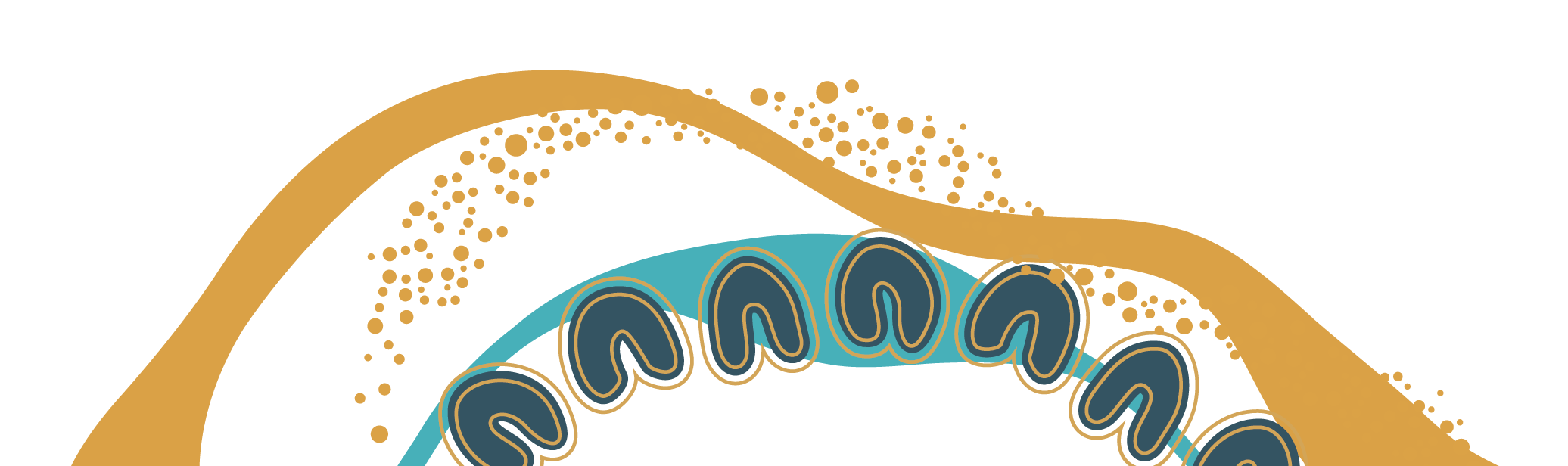 Illustration of a roller coaster with blue and orange tracks and stylized dots, against a black background.