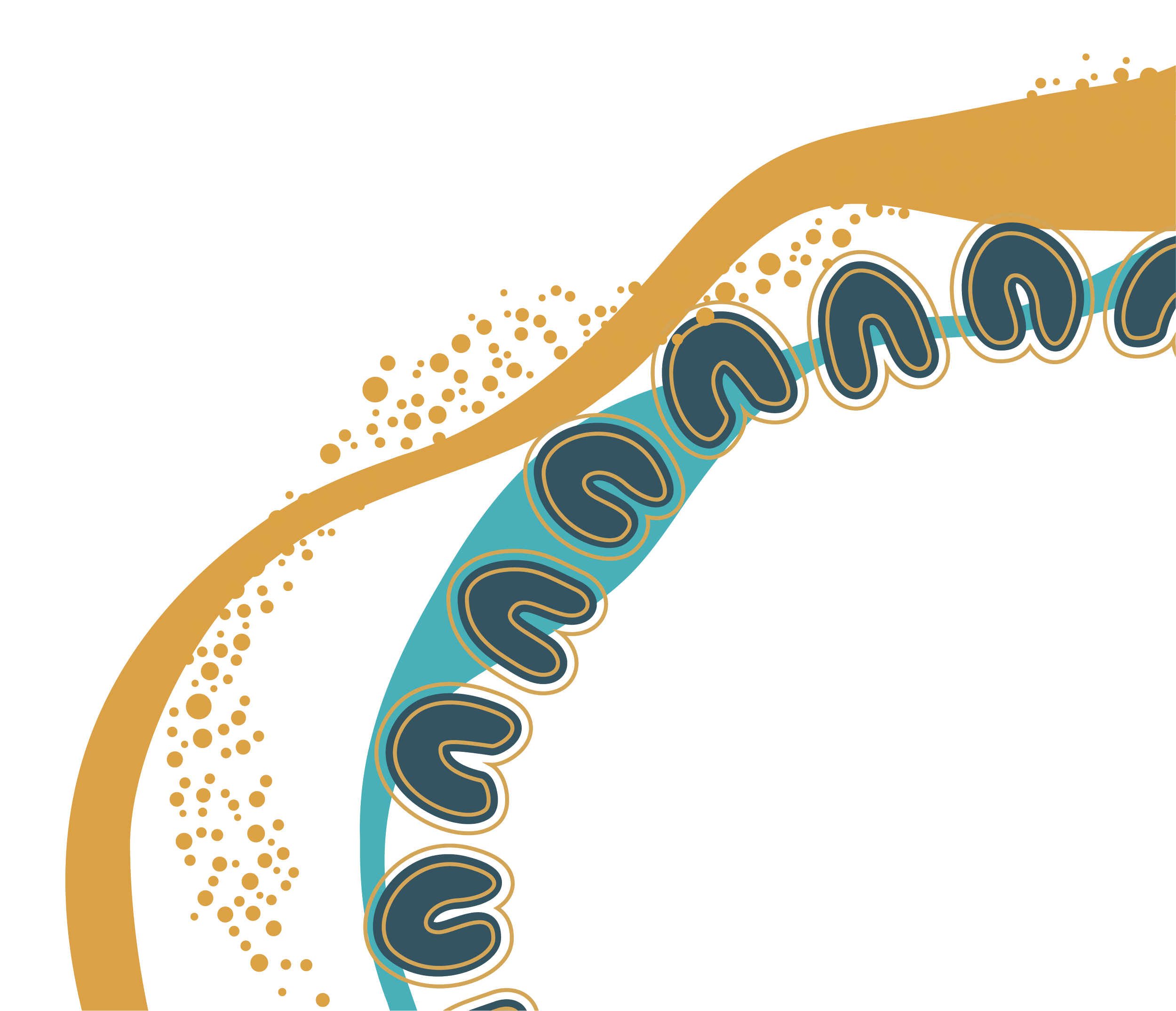 A colorful diagram illustrating the anatomy of a plant cell with labels for various organelles such as the cell wall, nucleus, mitochondria, and endoplasmic reticulum.