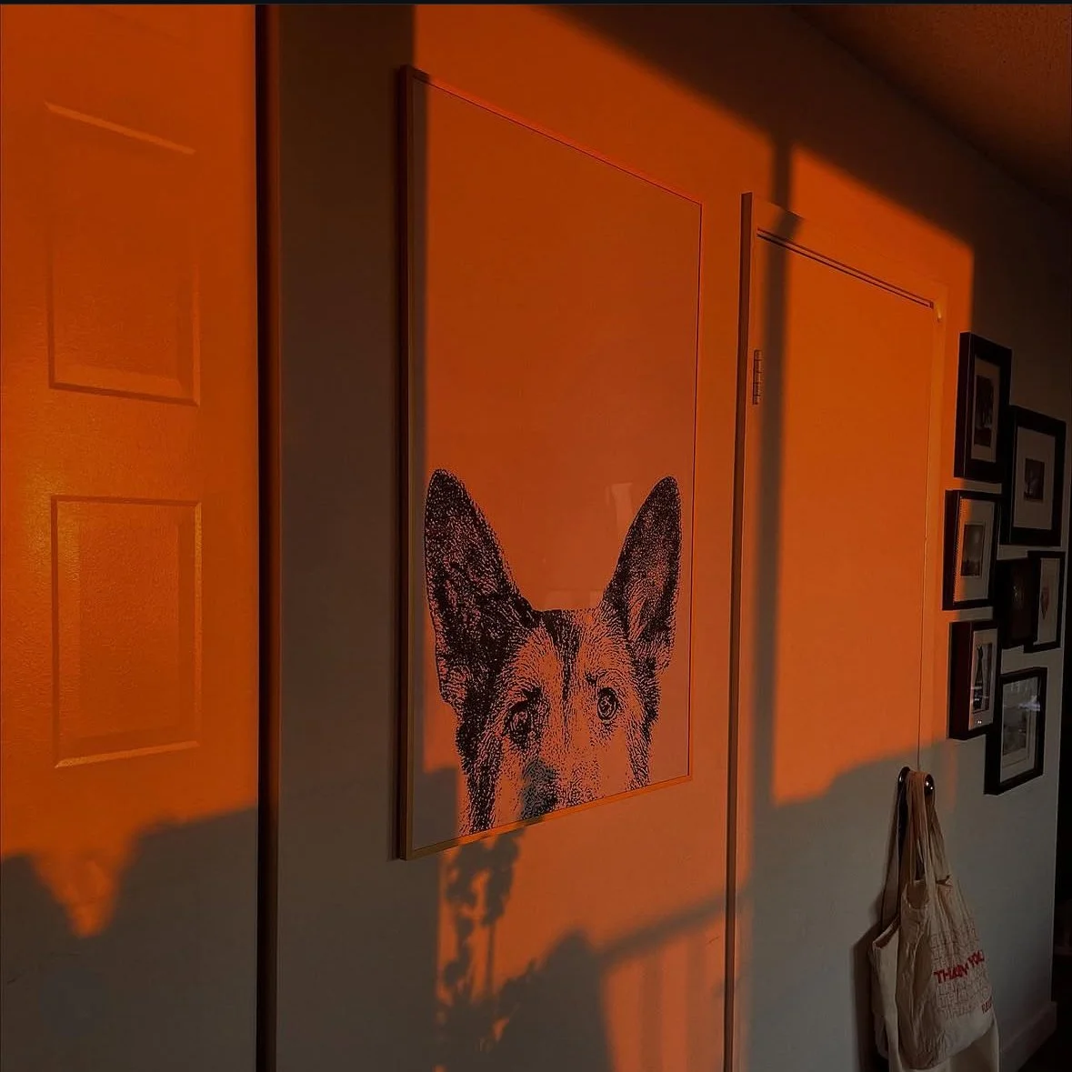Framed German Shepherd portrait on a hallway wall illuminated by warm orange sunlight