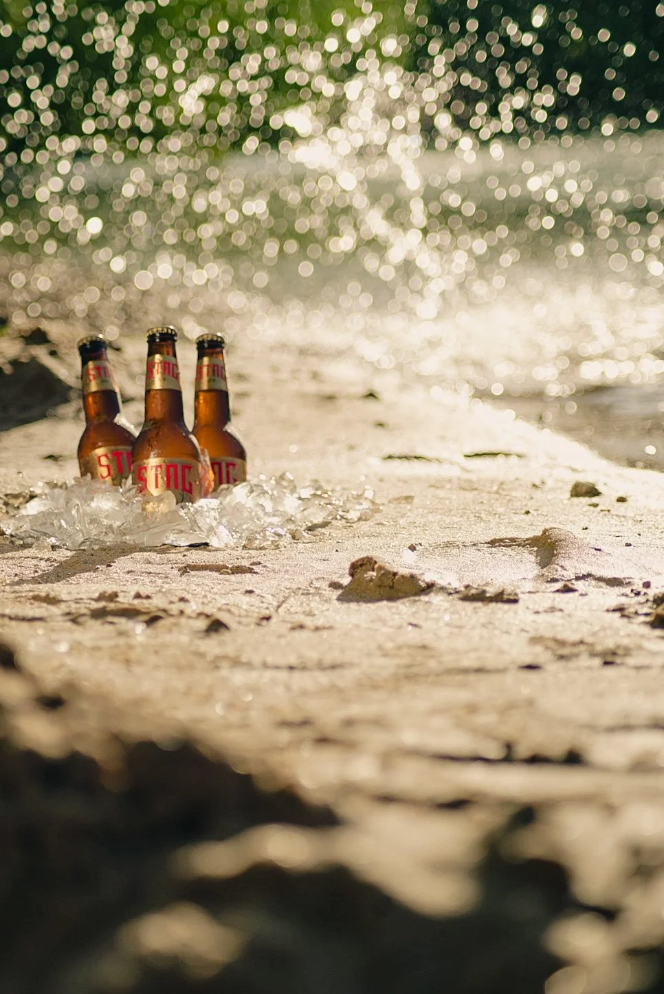 Three bottles of beer in the sand at the beach with water splashing and sunlight reflecting in the background.