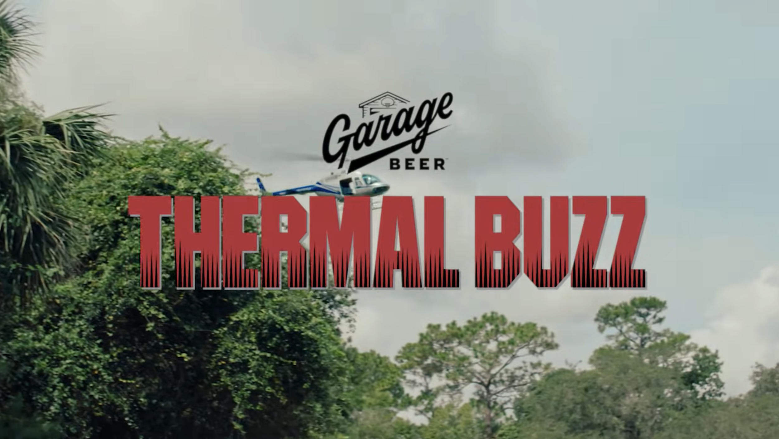 Title screen with the words "THE MALL OF THE GREATER GAINESVILLE" in large red letters over a background of trees and a cloudy sky, with a small airplane image beside the text.