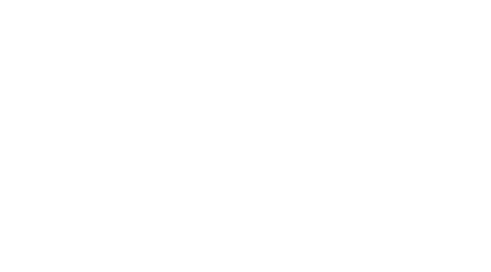 worldfest_houston_reference_white_transparent.png