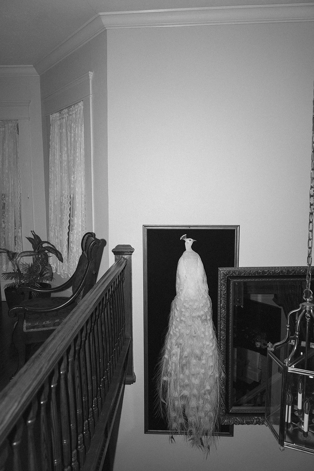 AnnieAustinPhoto_Oaklea-Mansion_a_w-reception-2-223_pt(11560023892).jpg