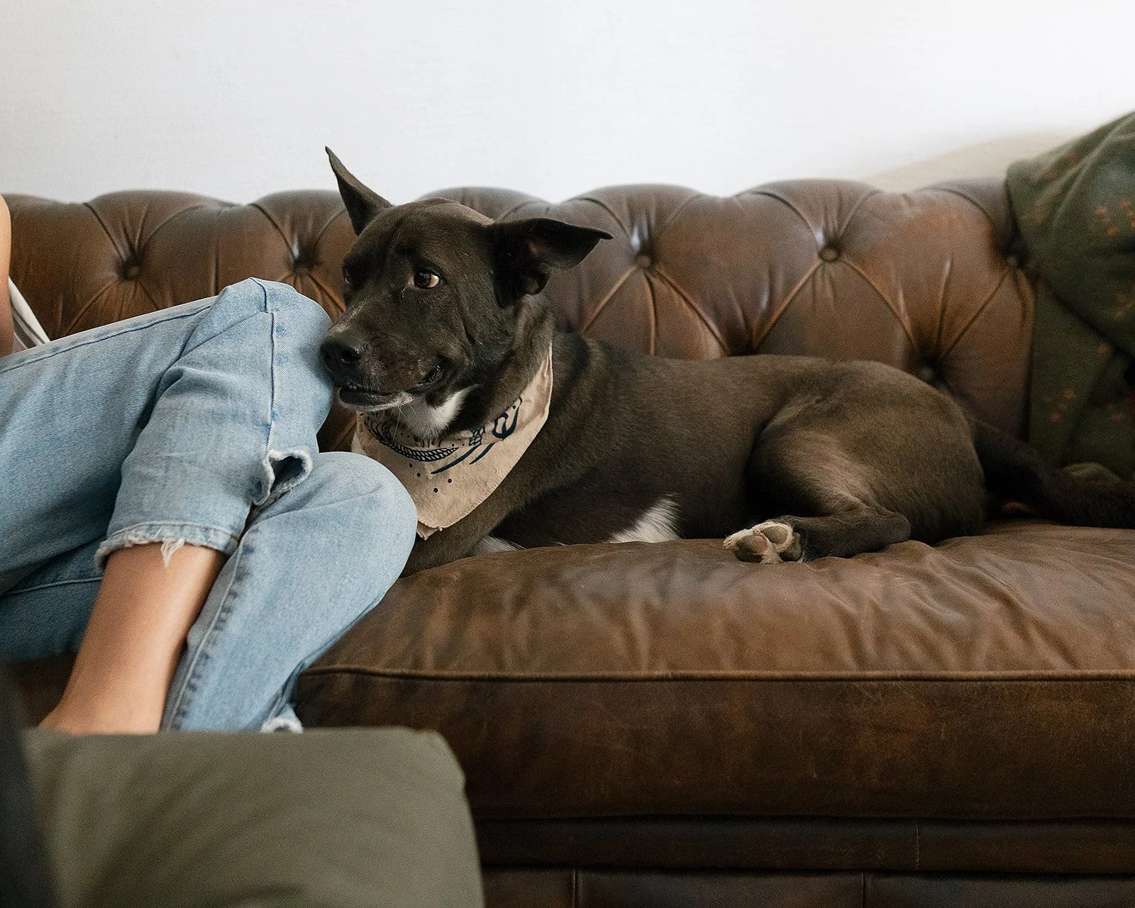 AnnieAustinPhoto_At-home-couples-photography_Texas-photography_01.jpg