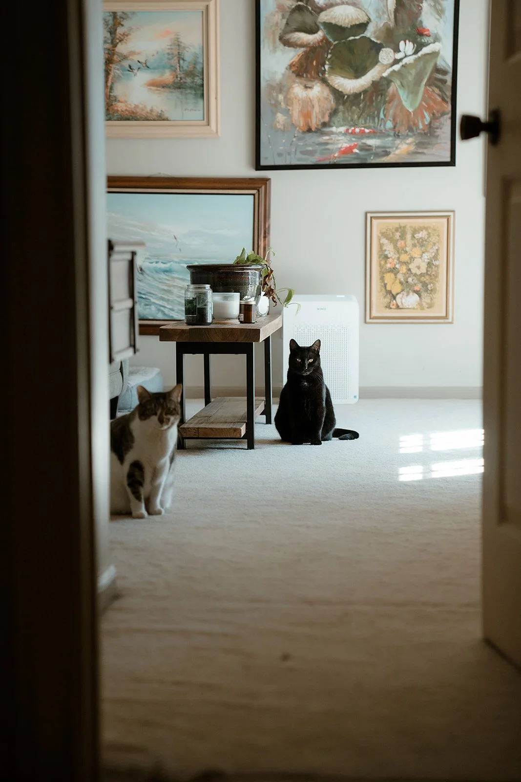 AnnieAustinPhoto_Documentary-Family-Photography_Louisiana_04.jpg