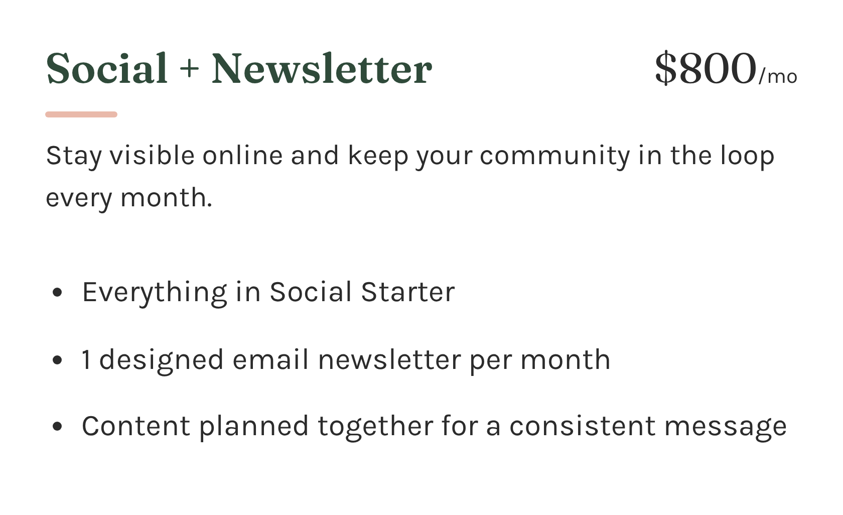 A presentation slide advertising a social media and newsletter service for $800 per month, highlighting features like monthly email newsletters and consistent content planning.