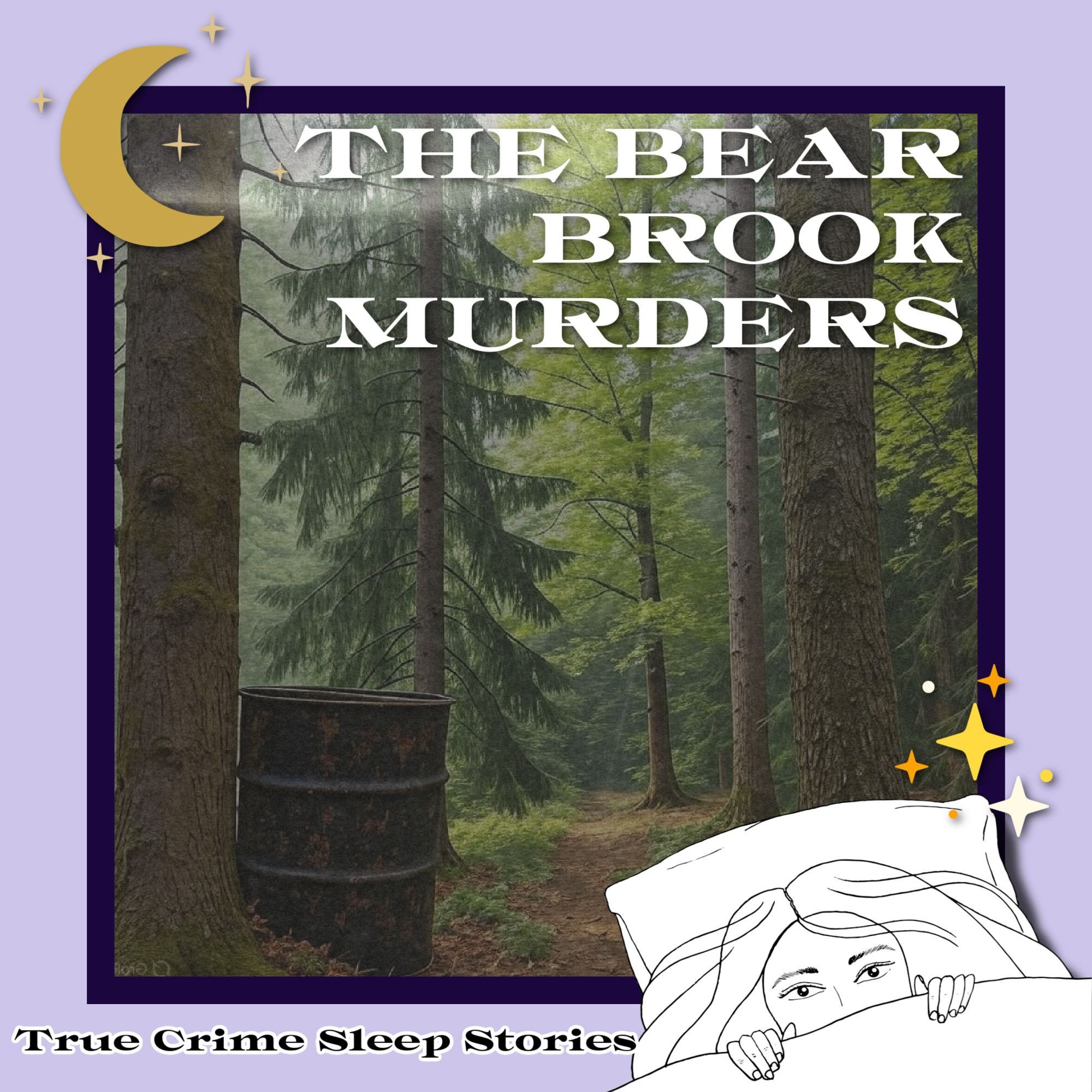 The Bear Brook Murders | True Crime Sleep Stories