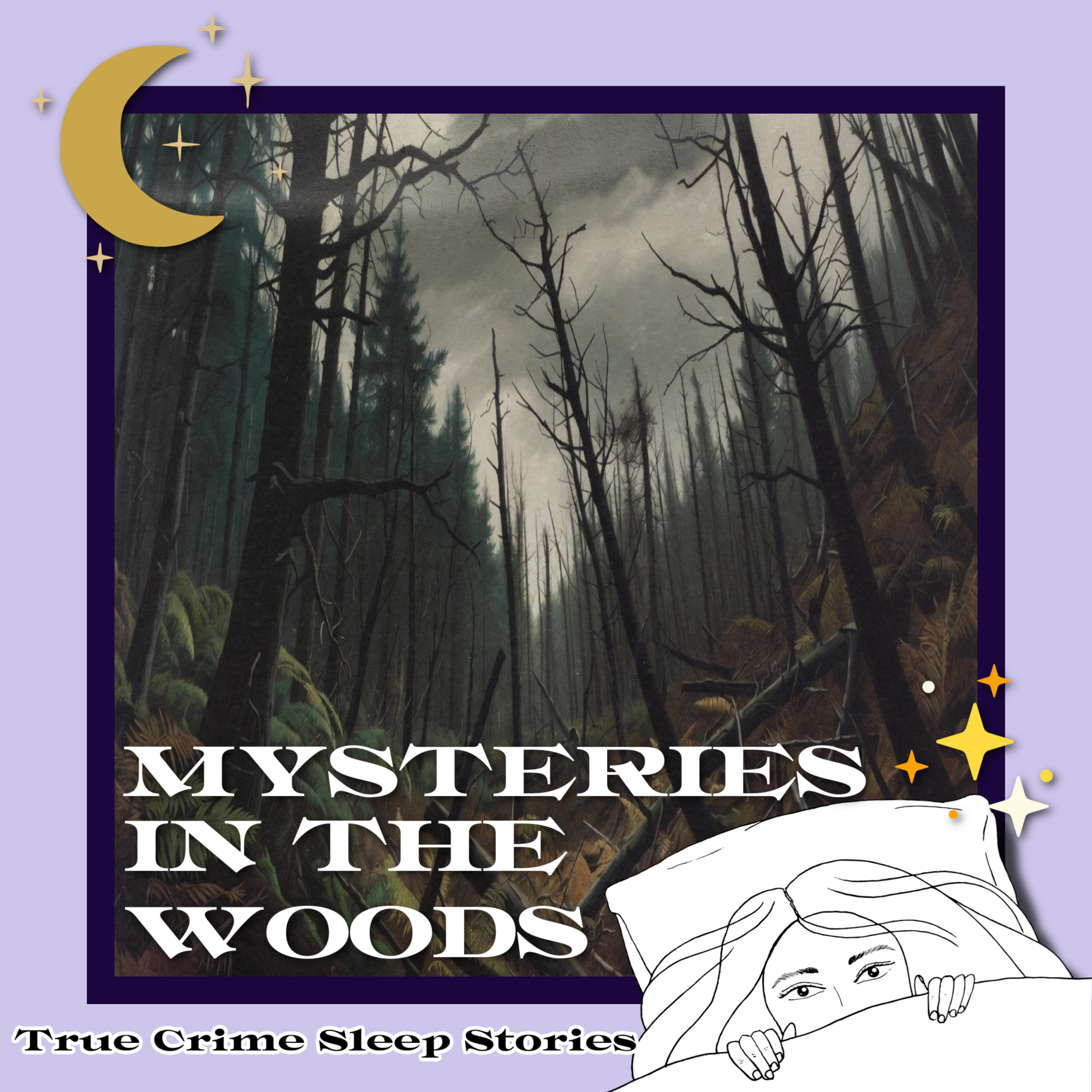 Mysteries in the Woods | True Crime Sleep Stories