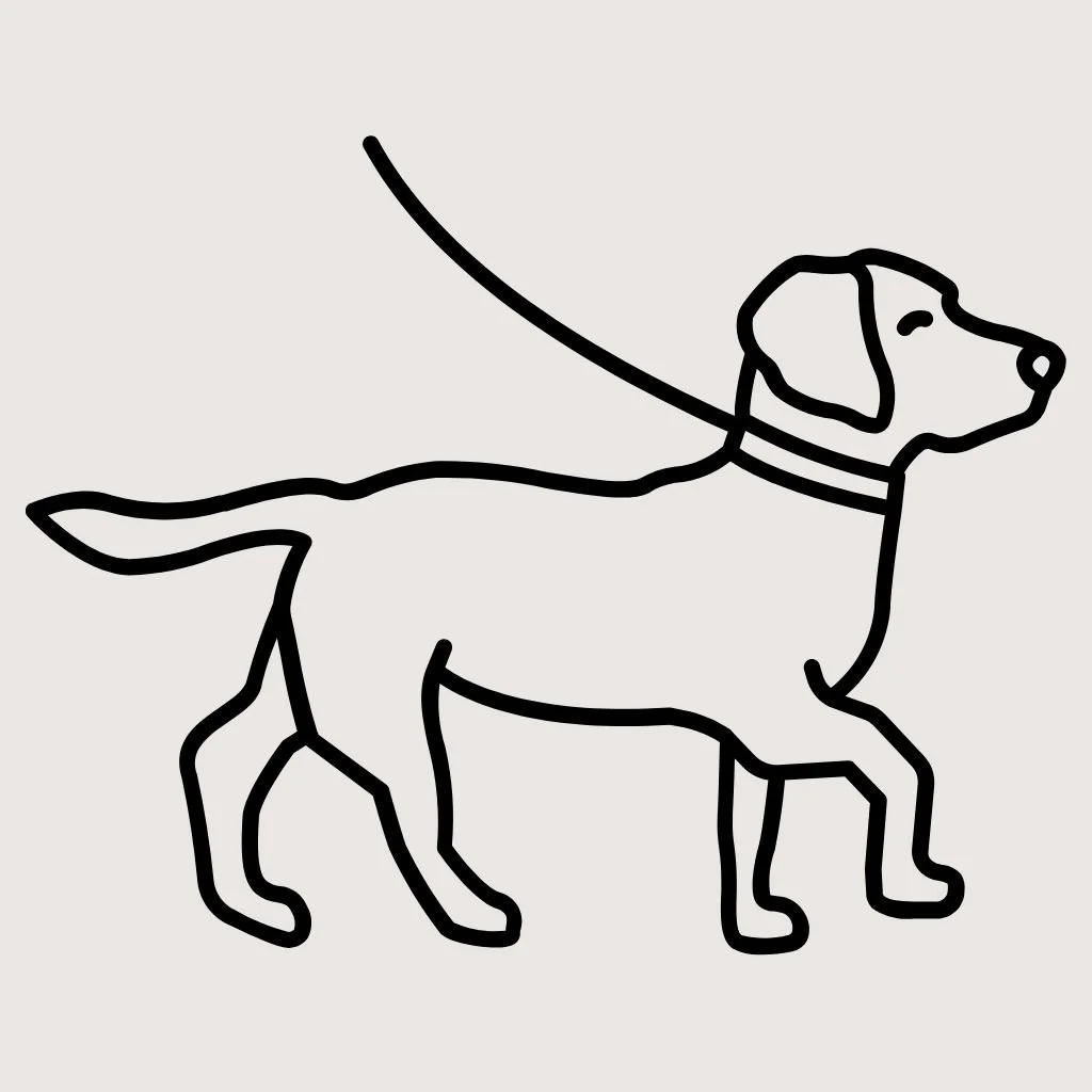 Everyday Dog Skills