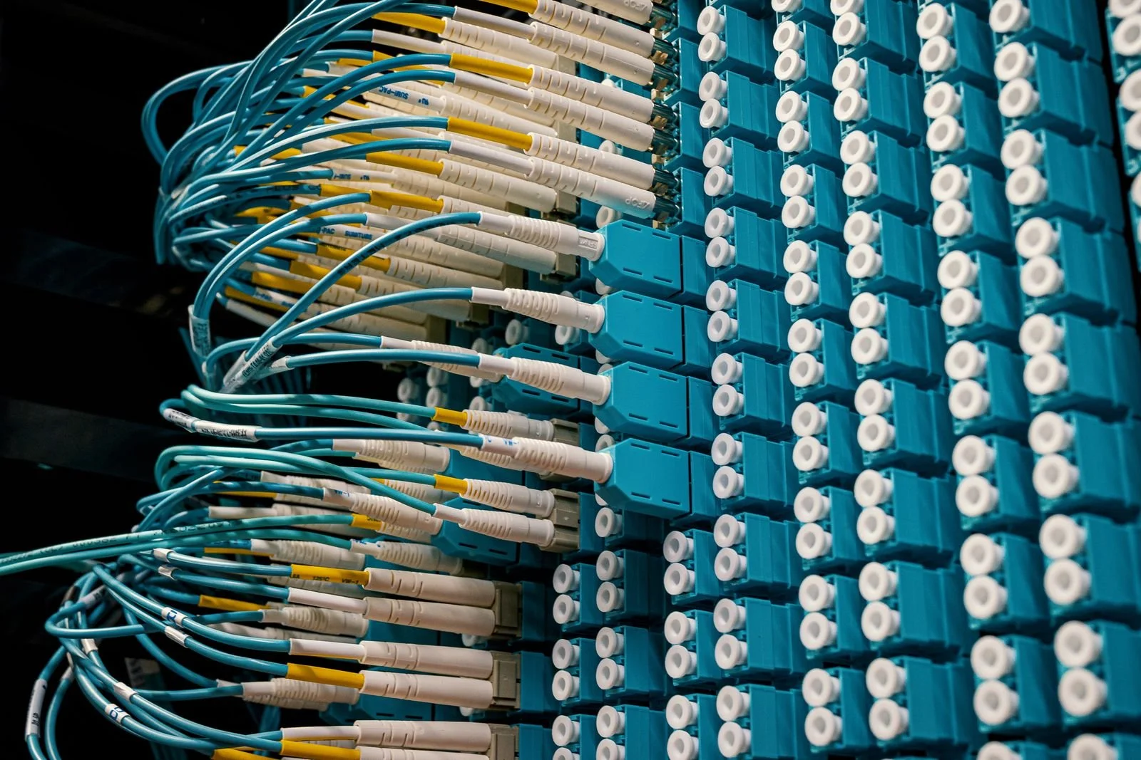 Fiber-optic patch cables connected to a network panel