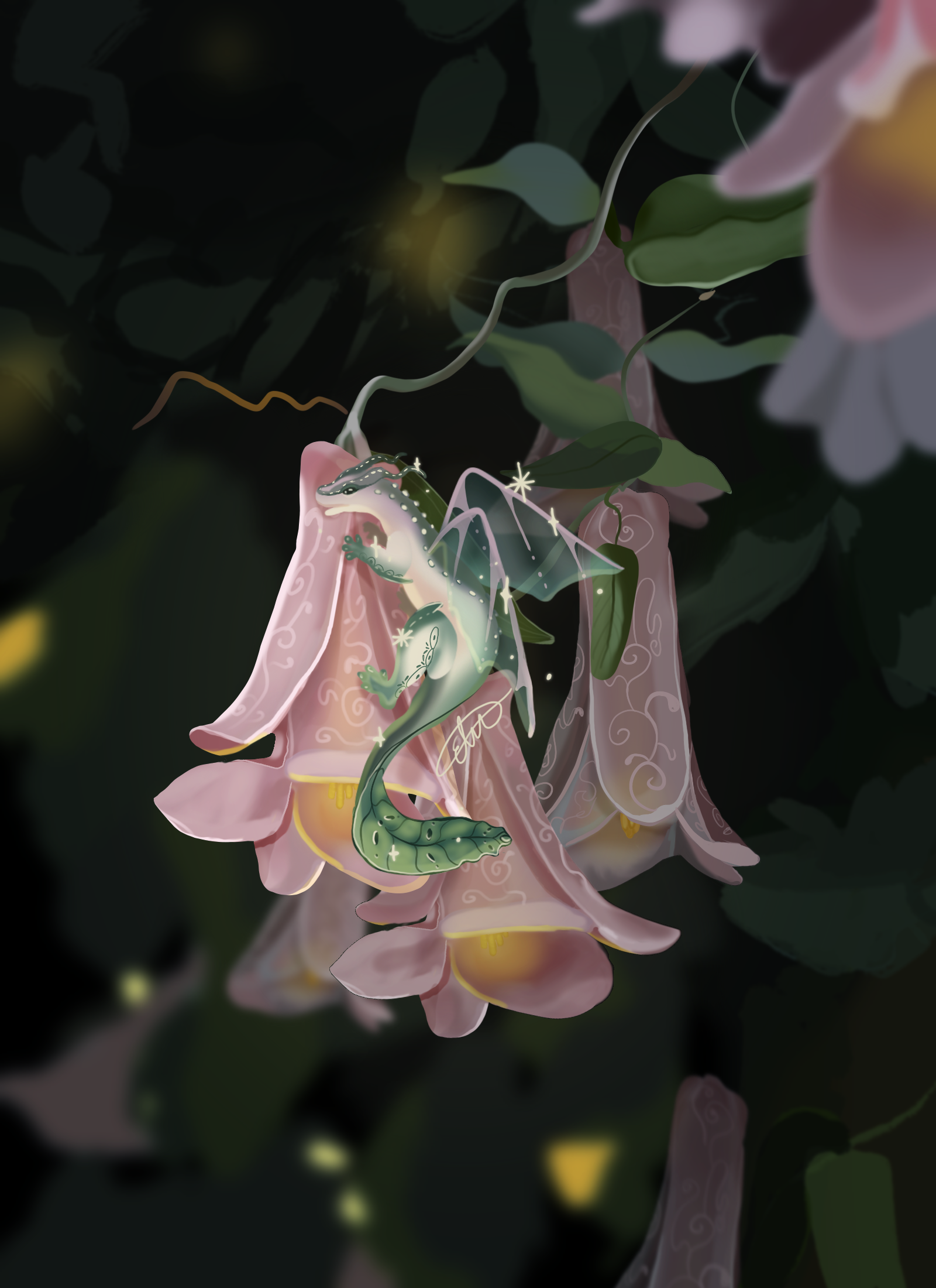IMG_0400.PNG