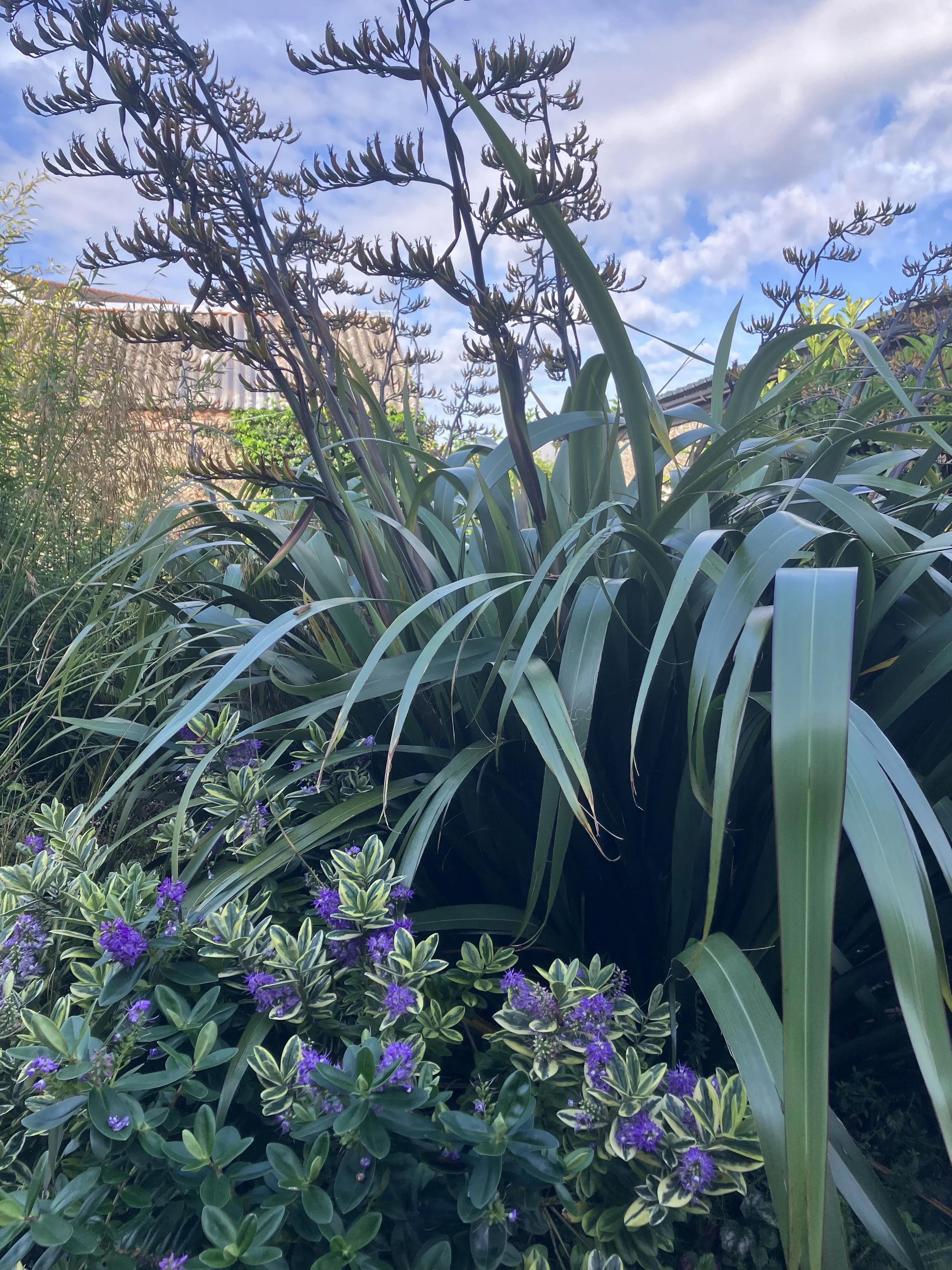 IMG_5707.jpeg